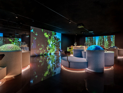 mys-Pleasure experience small at BrauKunstHaus-Brau Kunst Haus