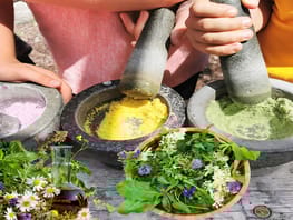 mys-Kräutergachtl in Hippach-Kräutergachtl in Hippach Kräutergachtl in Hippach