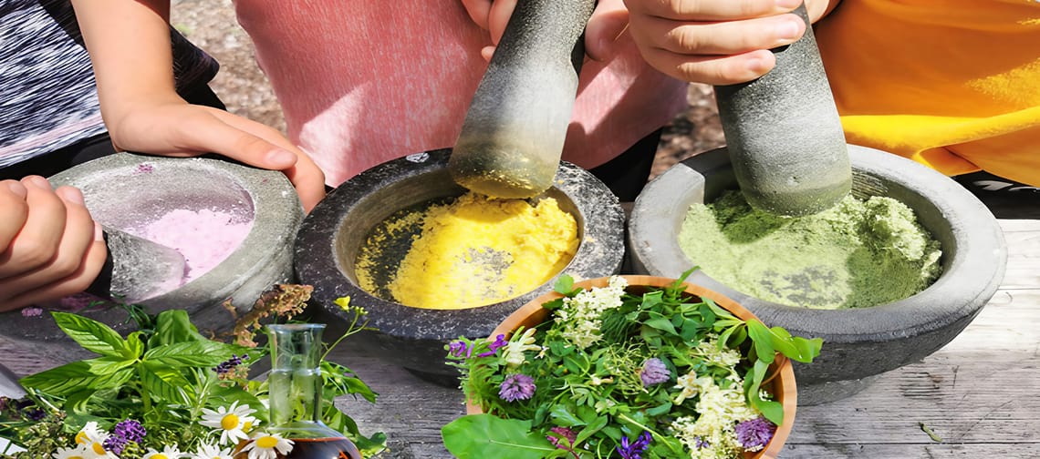 Various herbs are ground in mortars