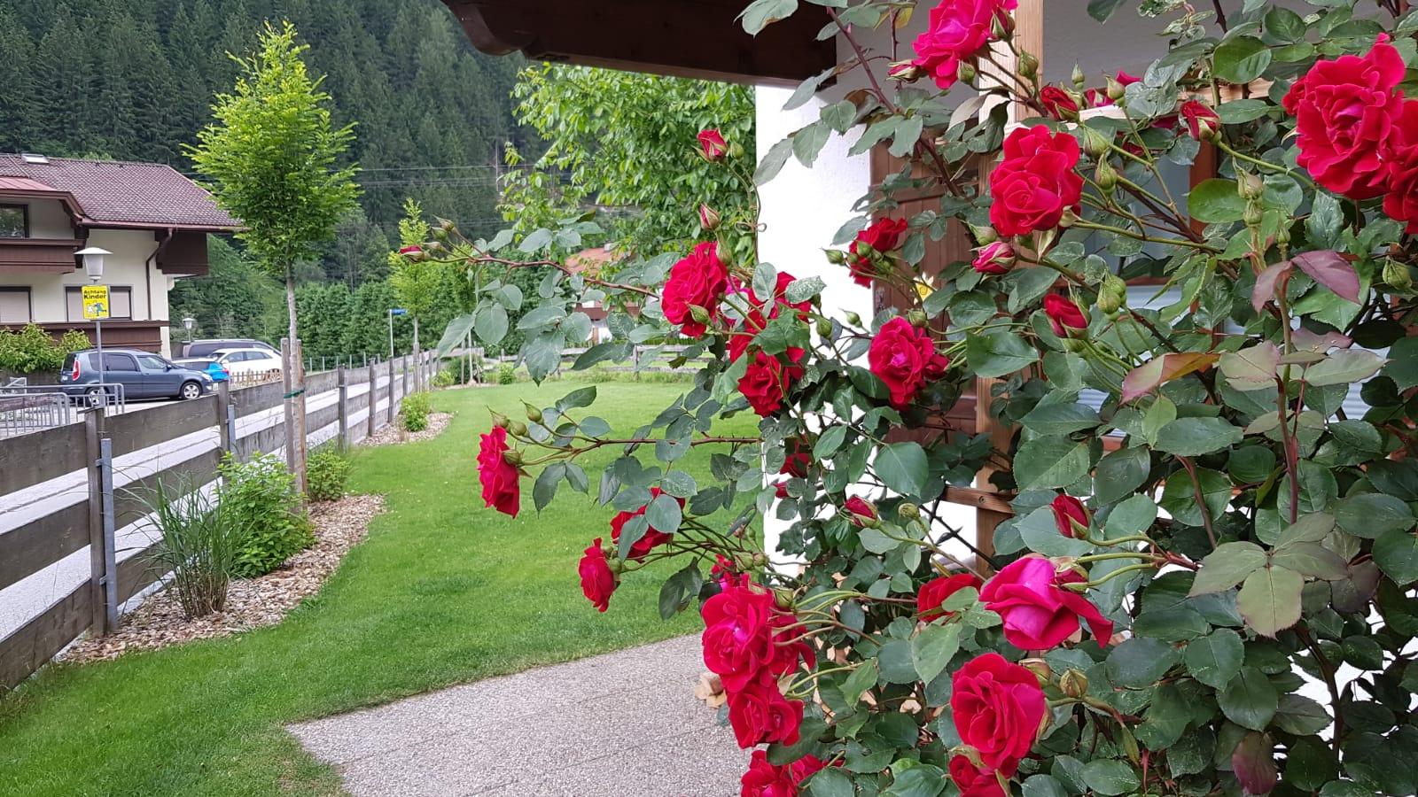 feratel-Gartenhaus zur Kröllin - c8d97938-54b9-4740-9924-cd39b433a95c