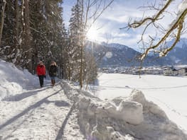 mhf-winterwandern-mayrhofen-hippach-easy-trail-foto-thomas-eberharter-photography.jpg © Thomas Eberharter Photography