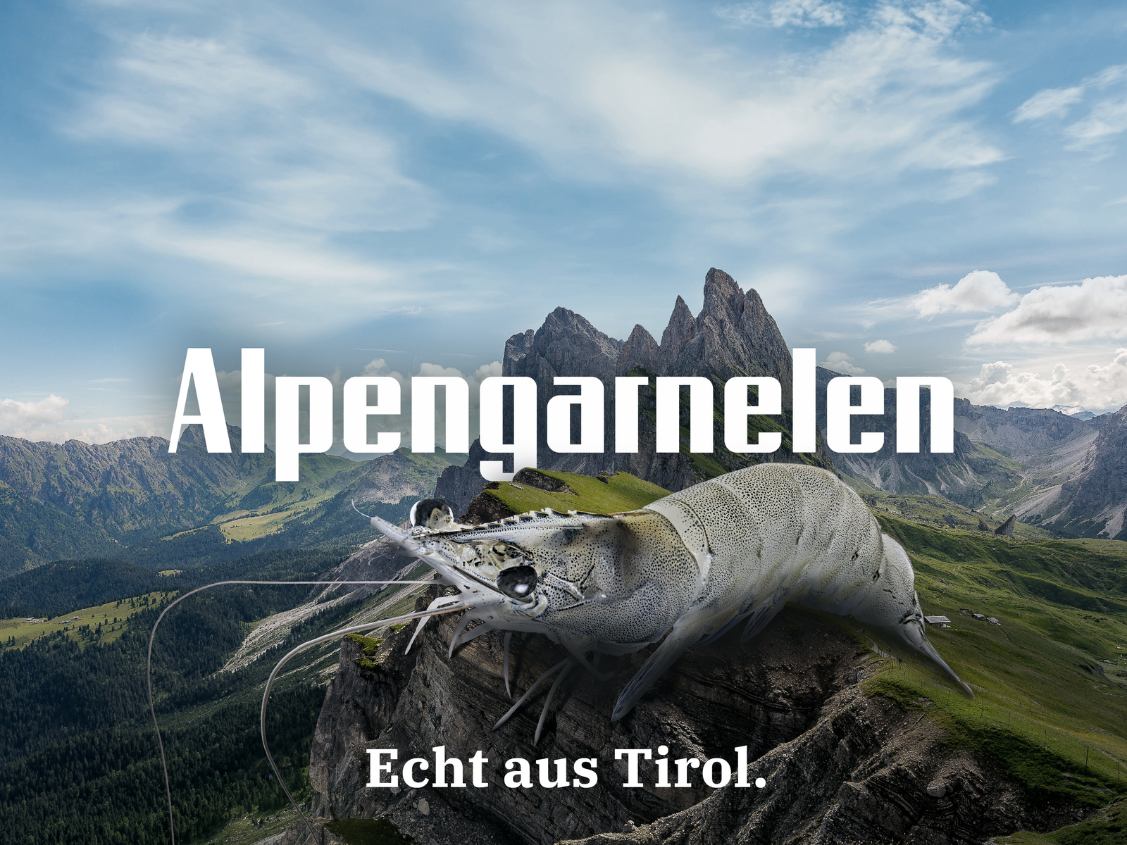 myregio-Alpengarnelen