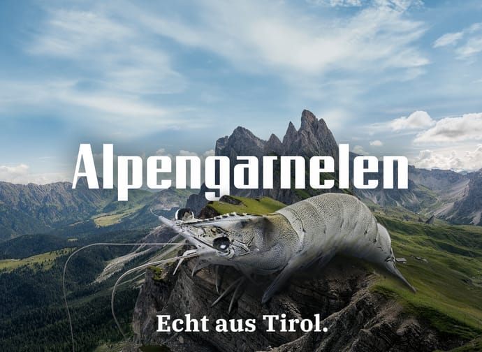myregio-Alpengarnelen