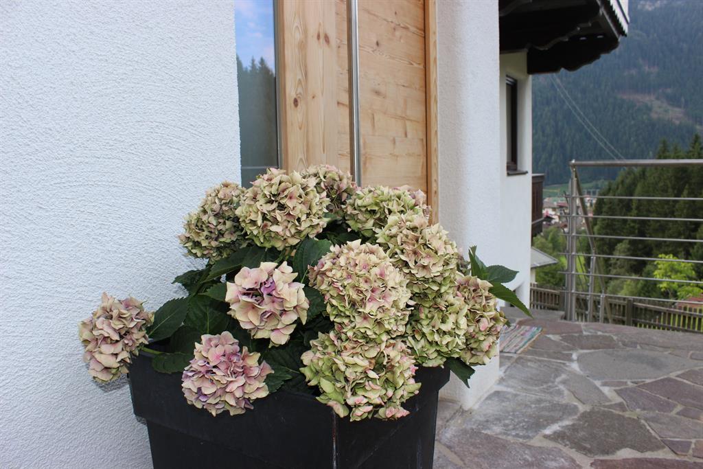 feratel-Das Zauberhaft - Sommer