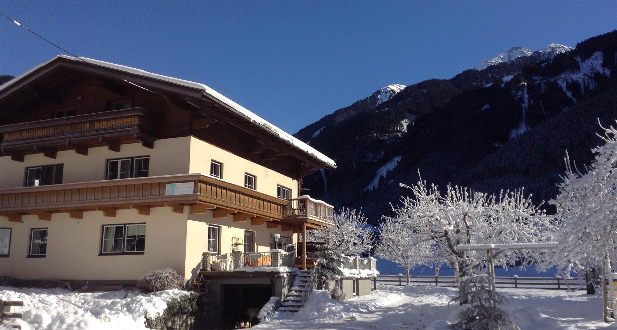 feratel-Schneeflöckchen 1 - Appartement Schneeflöckchen 1 im Erdgeschoss
