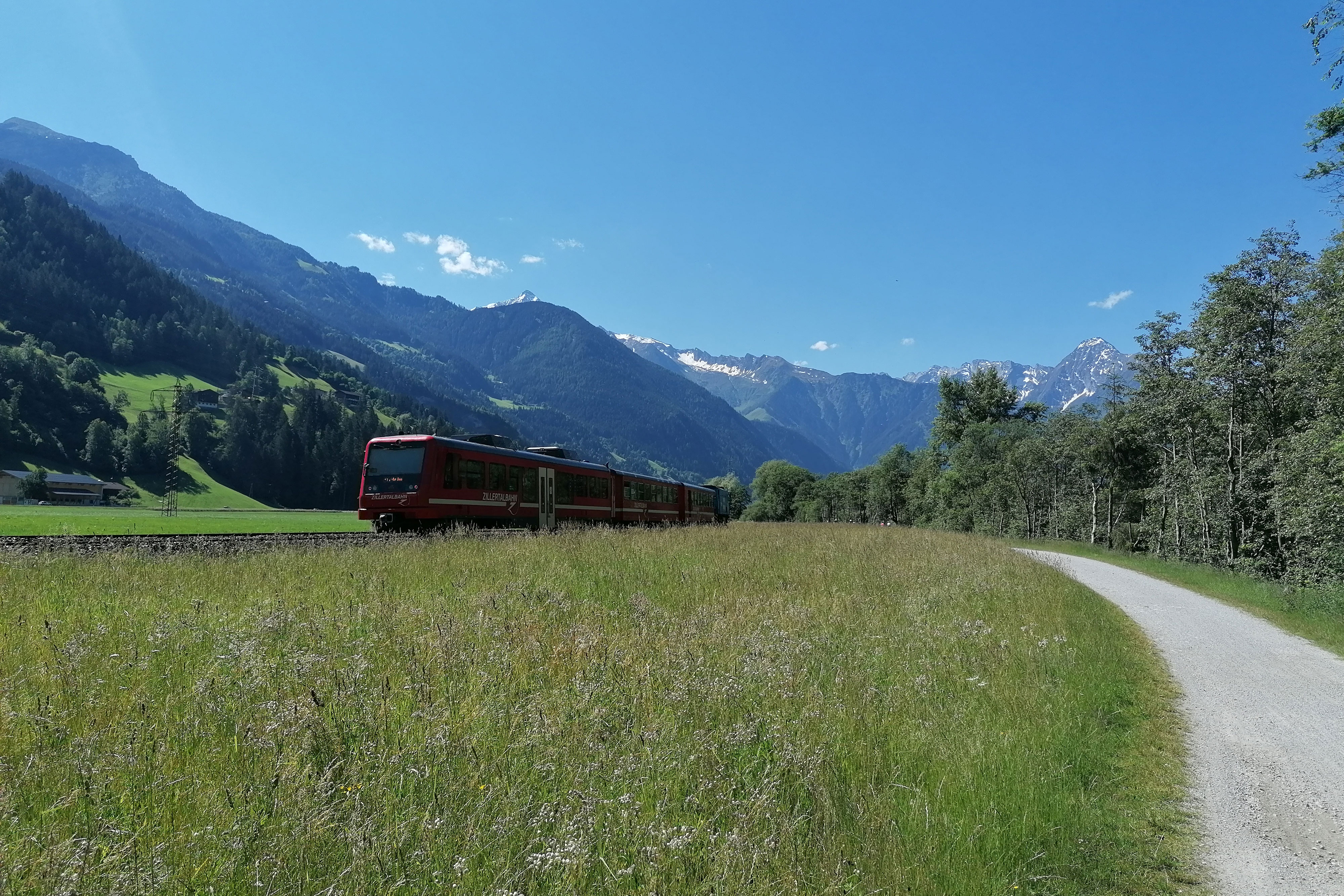 Ein Zug fährt an einem sonnigen Tag durch das grüne Zillertal. Im Hintergrund erheben sich bewaldete Berge und ein blauer Himmel mit weißen Wolken – eine idyllische Szene in der Tiroler Alpenlandschaft.