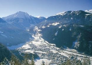 feratel-Alpencrysantheme Winter 1