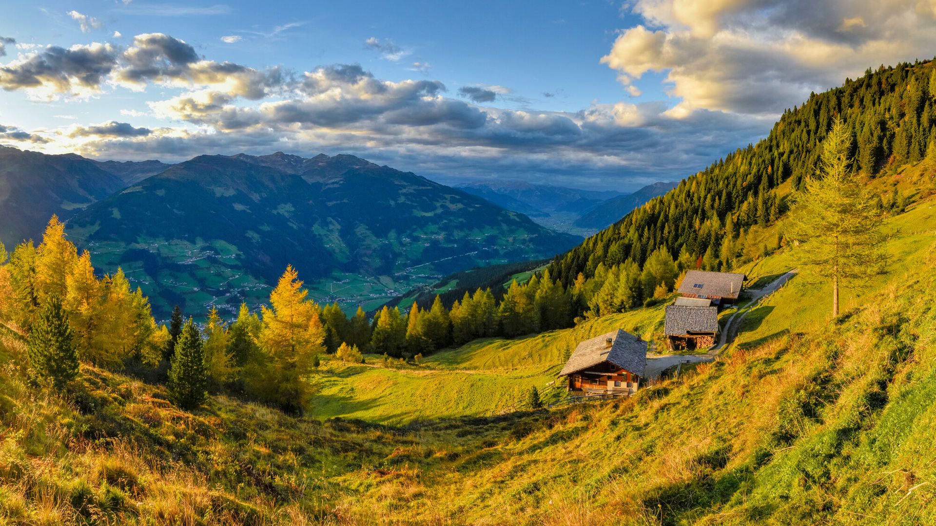 Autumn landscape in the Zillertal with a view to a farm