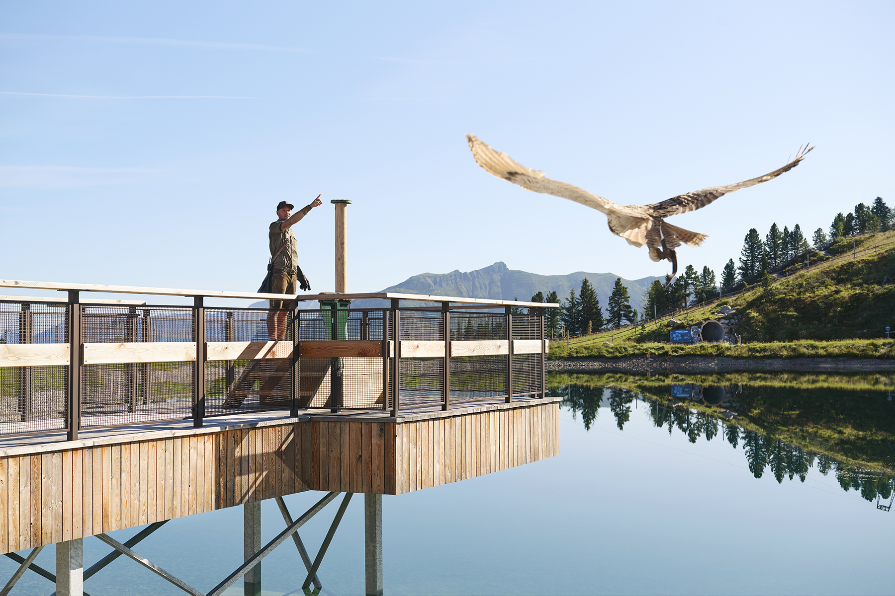 mm-mountopolis-adlerbühne-falkneroase-ahorn-sommer (8)