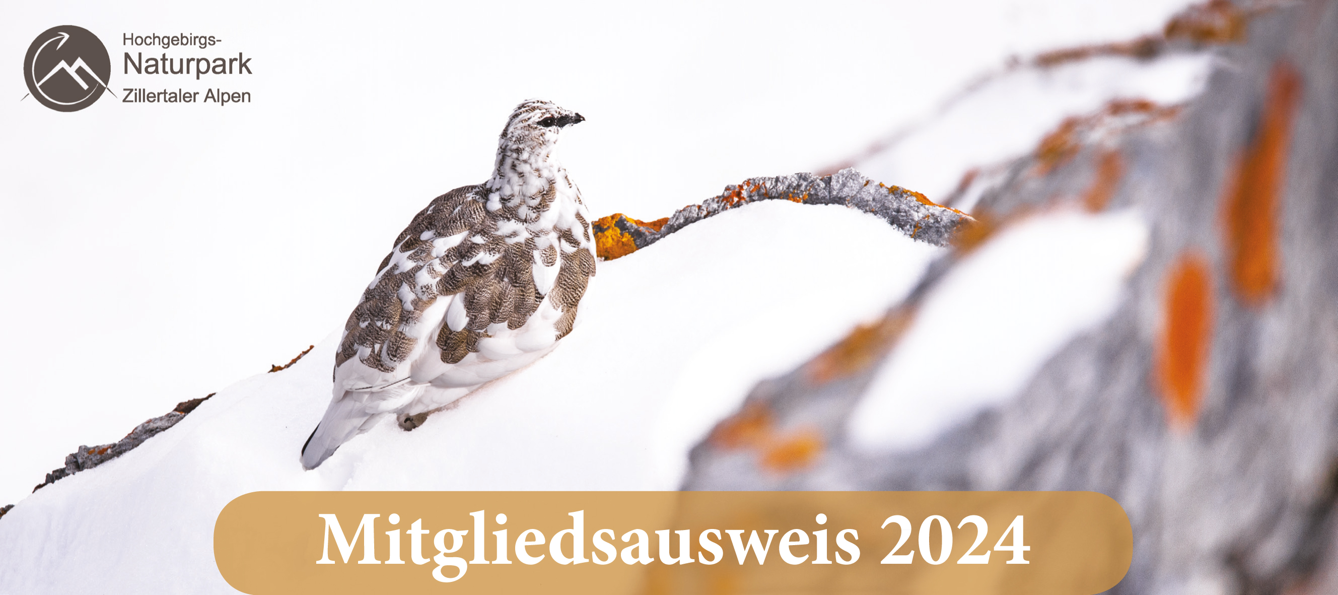 mys-annual Membership of the High Alpine Nature Park 2024-Jahresmitgliedschaft 2024
