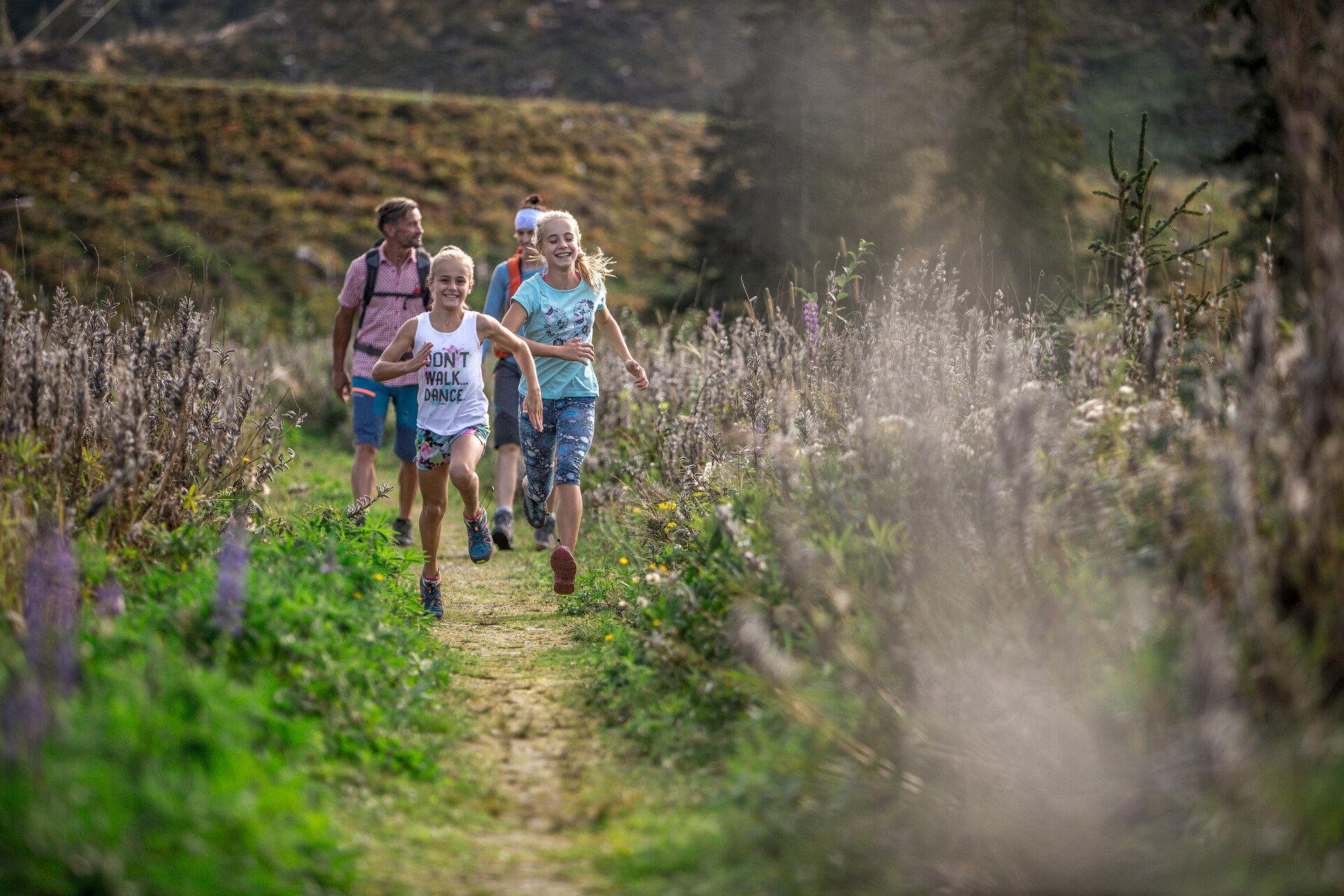 mys-Tourismusverband Erste Ferienregion im Zillertal - Büro Fügen-Tourismusverband Erste Ferienregion im Zillertal - Büro Fügen - Spieljoch Sommer (c)Andi Frank (237).jpg