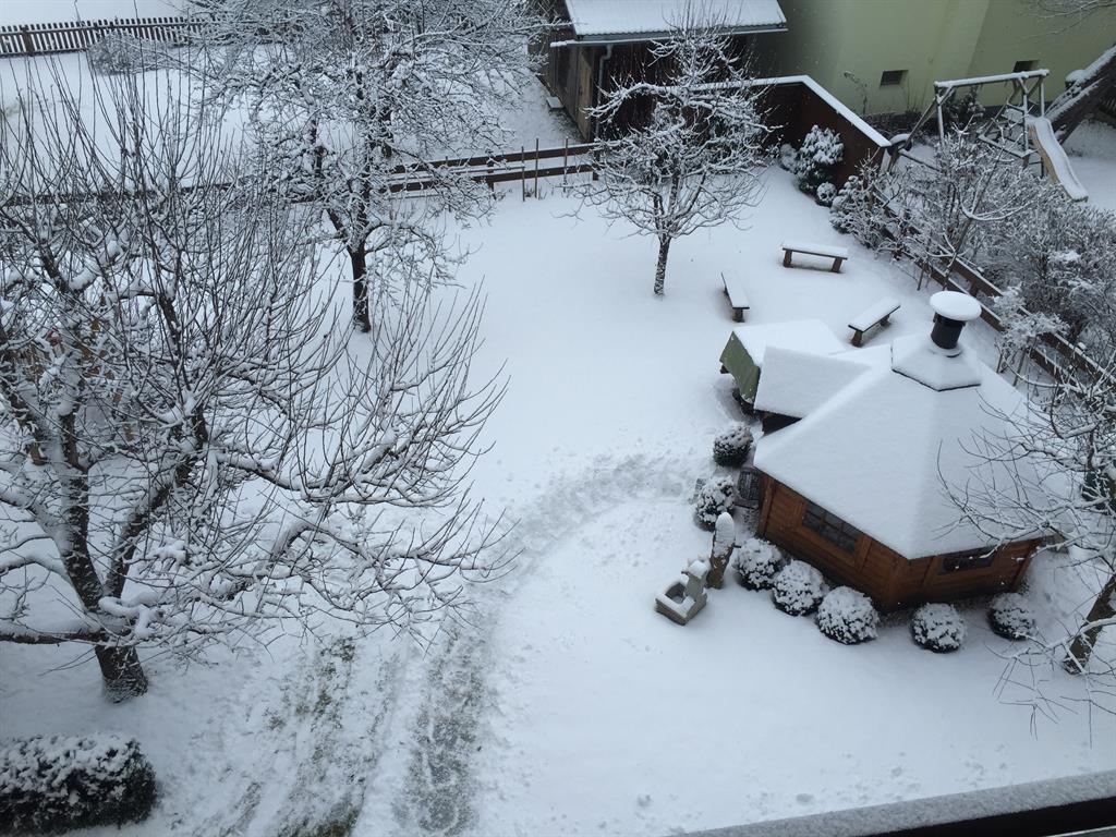 Snow-covered backyard with trees, a garden shed, benches, and footprints in the snow.