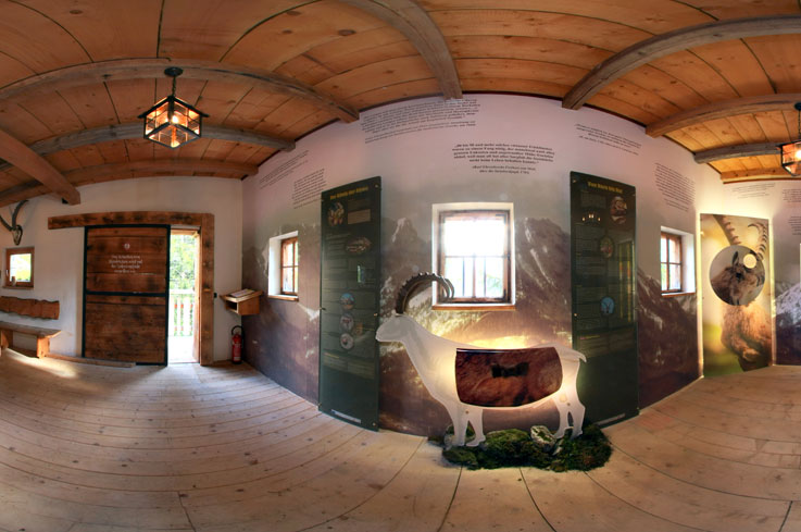 Interior view of the "Steinbock.Welten" exhibition in Zillergrund, Zillertal (Tyrol): Round wooden architecture with natural lighting and a cozy atmosphere.