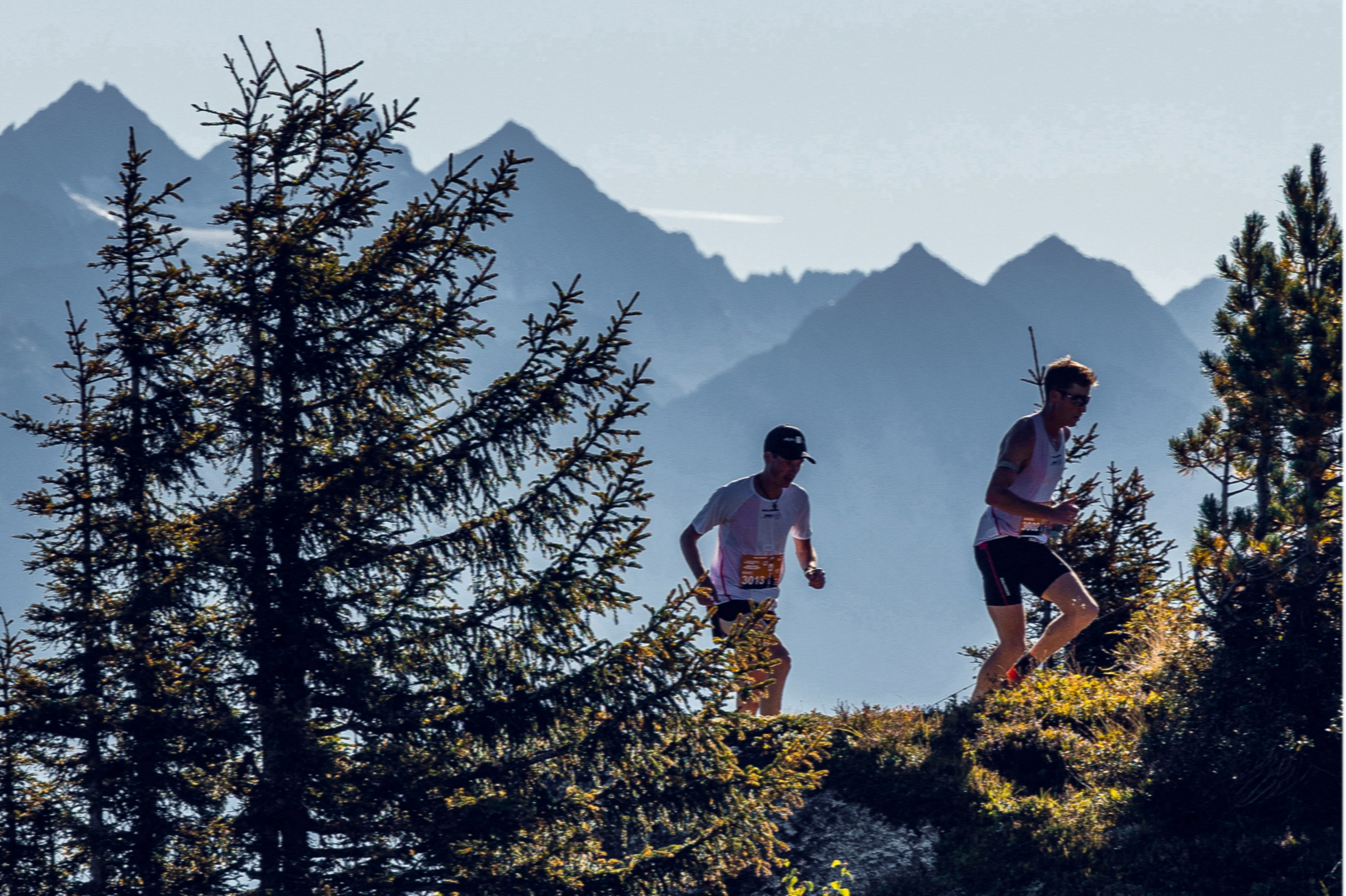 Two runners behind trees and in front of a mountain backdrop.