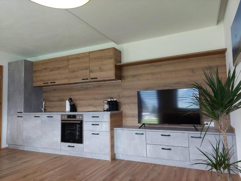 feratel-Apart Haselbach - Zillertal_Hart_Apart Haselbach_Wohnküche_Fernsehe