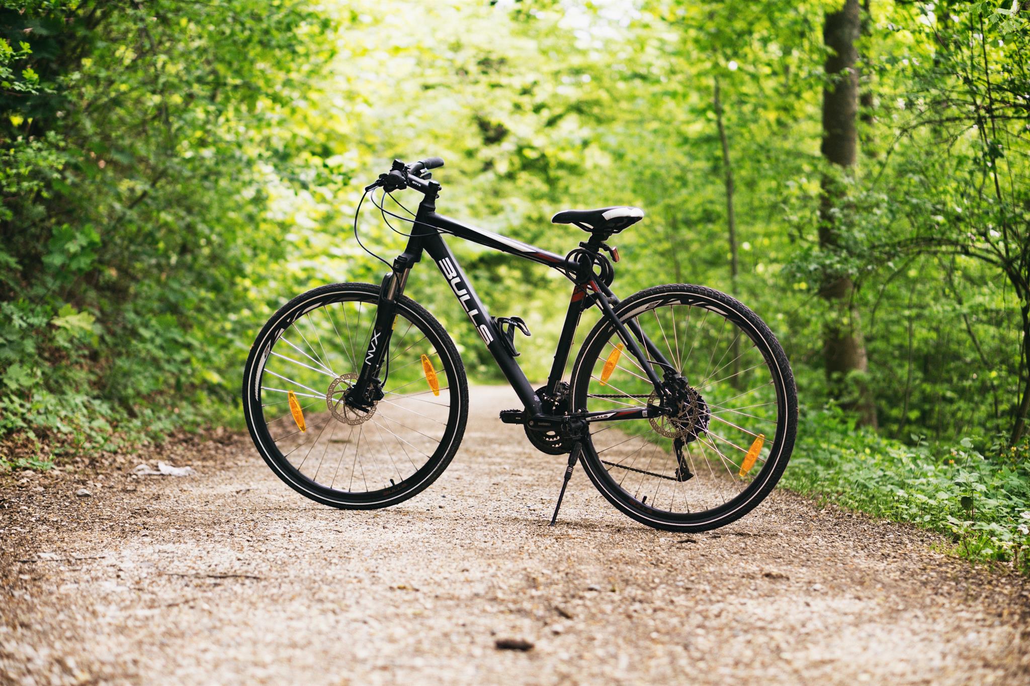mys-Bike rental Sport Schiestl-Bike Pexels
