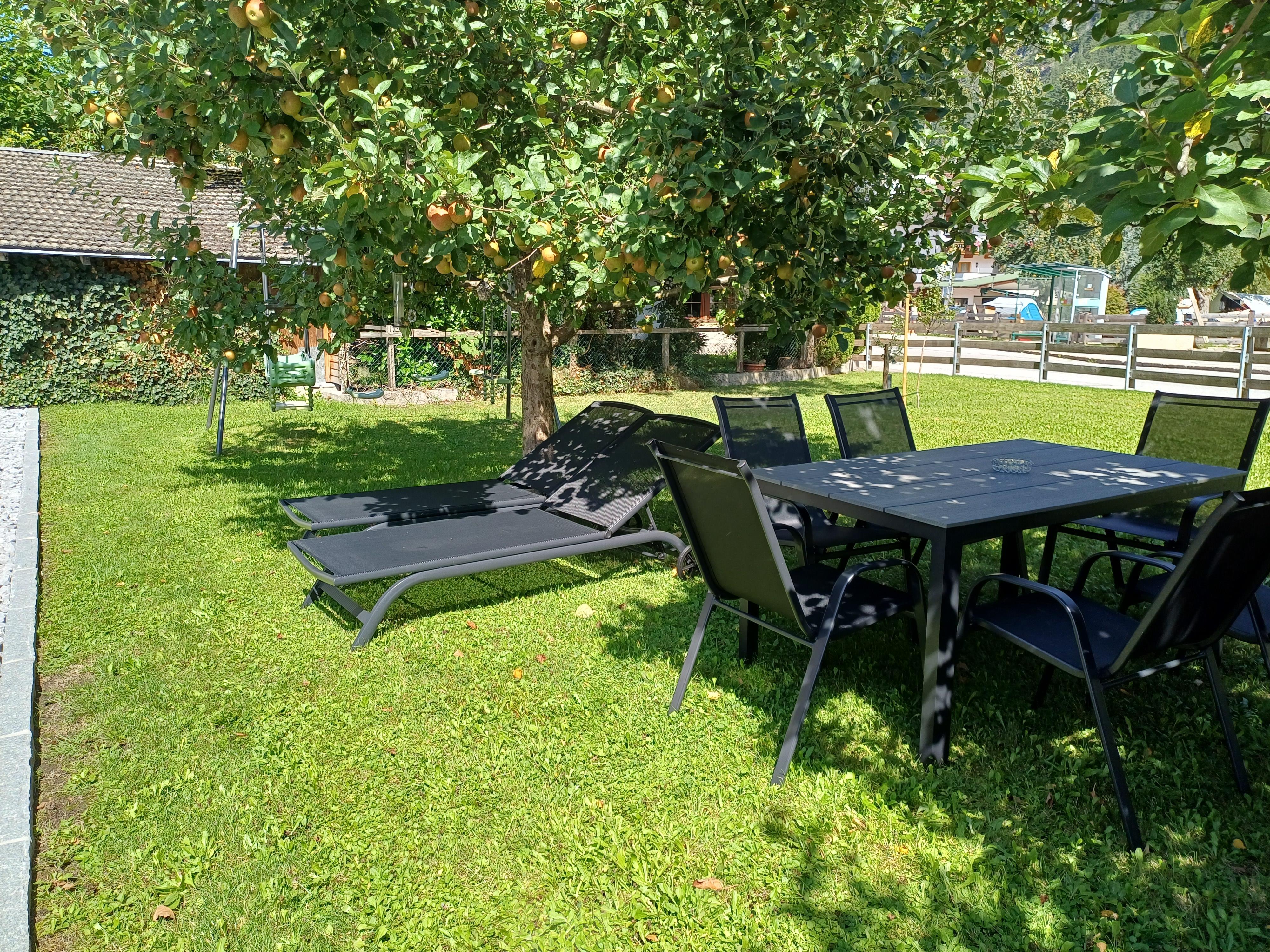 Garden with apple tree, outdoor furniture, and shaded area on sunny day.