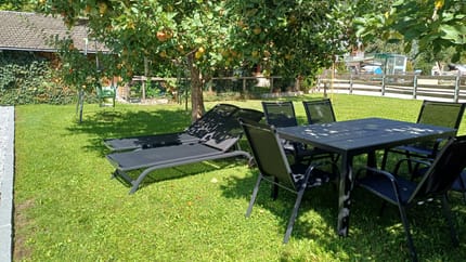Garden with apple tree, outdoor furniture, and shaded area on sunny day.