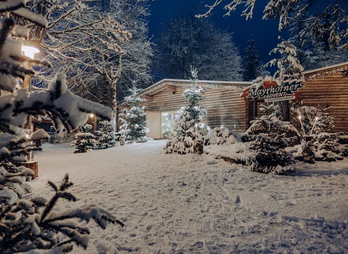 The image shows a wintry, Christmas-decorated scene with a log cabin, surrounded by snow-covered fir trees and lights.