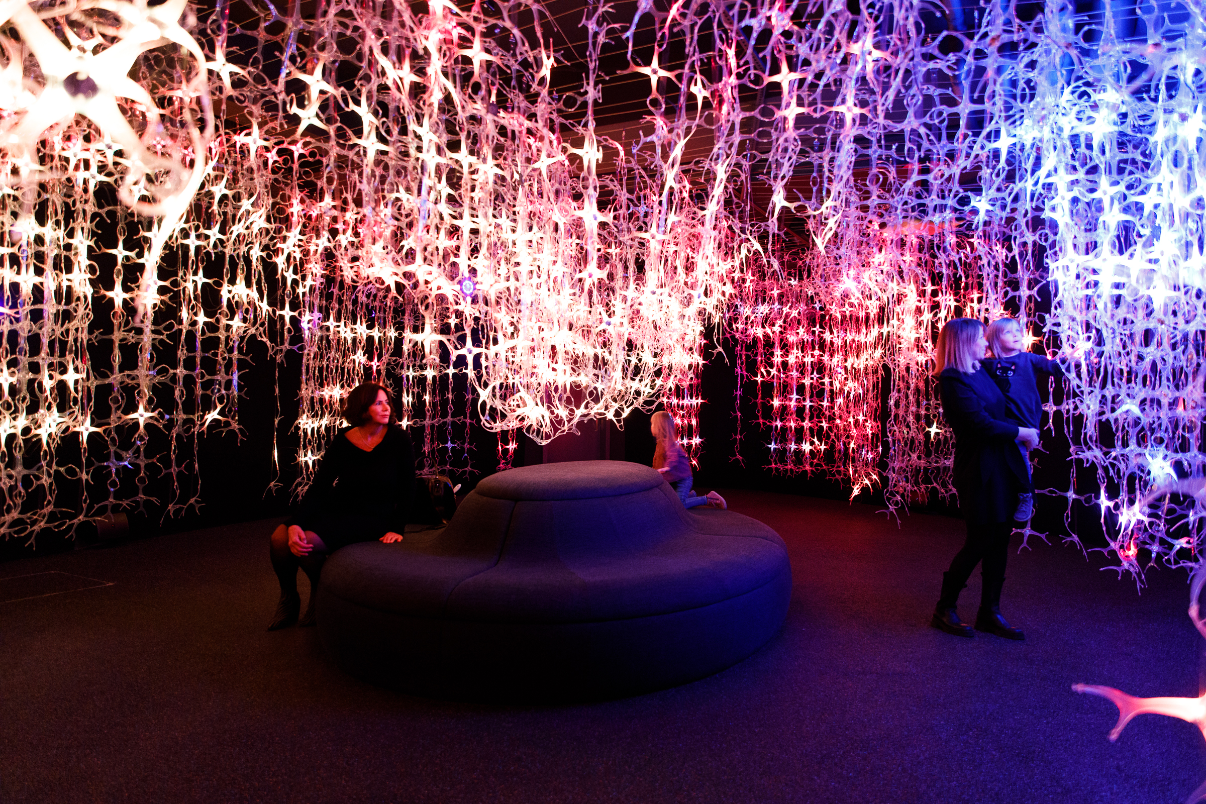 Exhibition room Mozart's thoughts