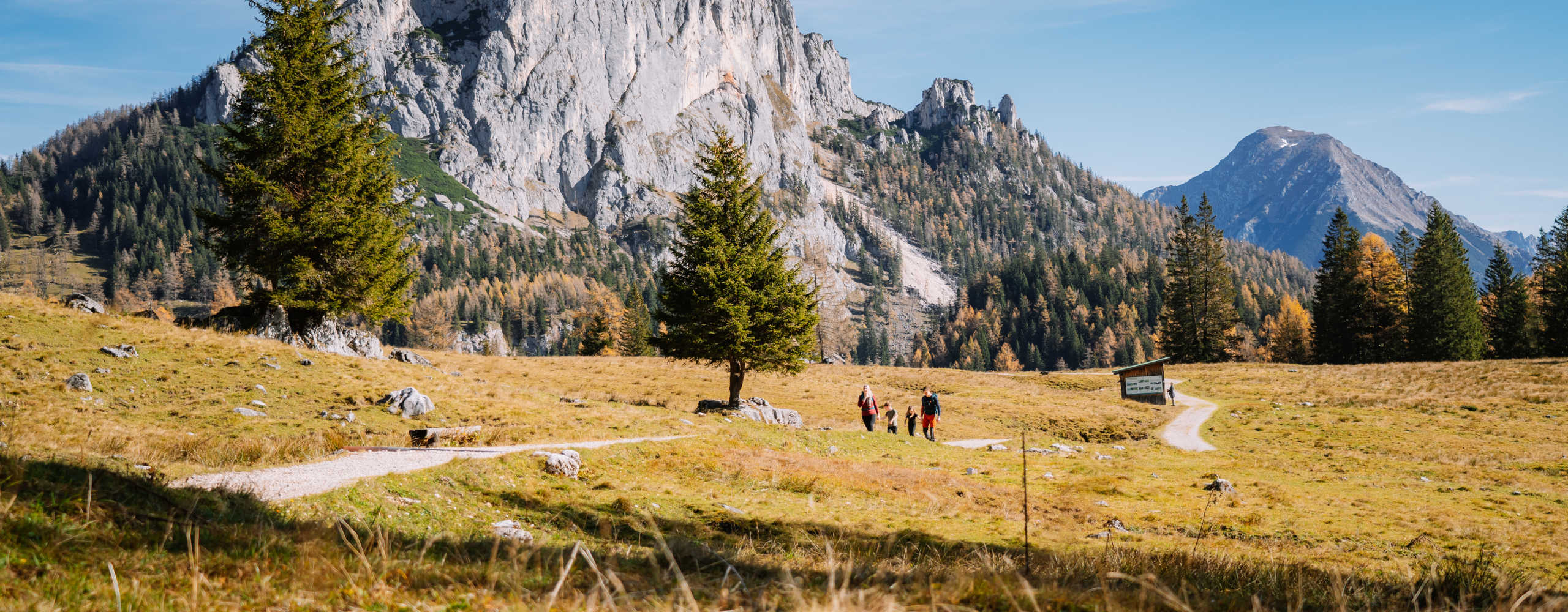 View of the Wurzeralm mountains in summer