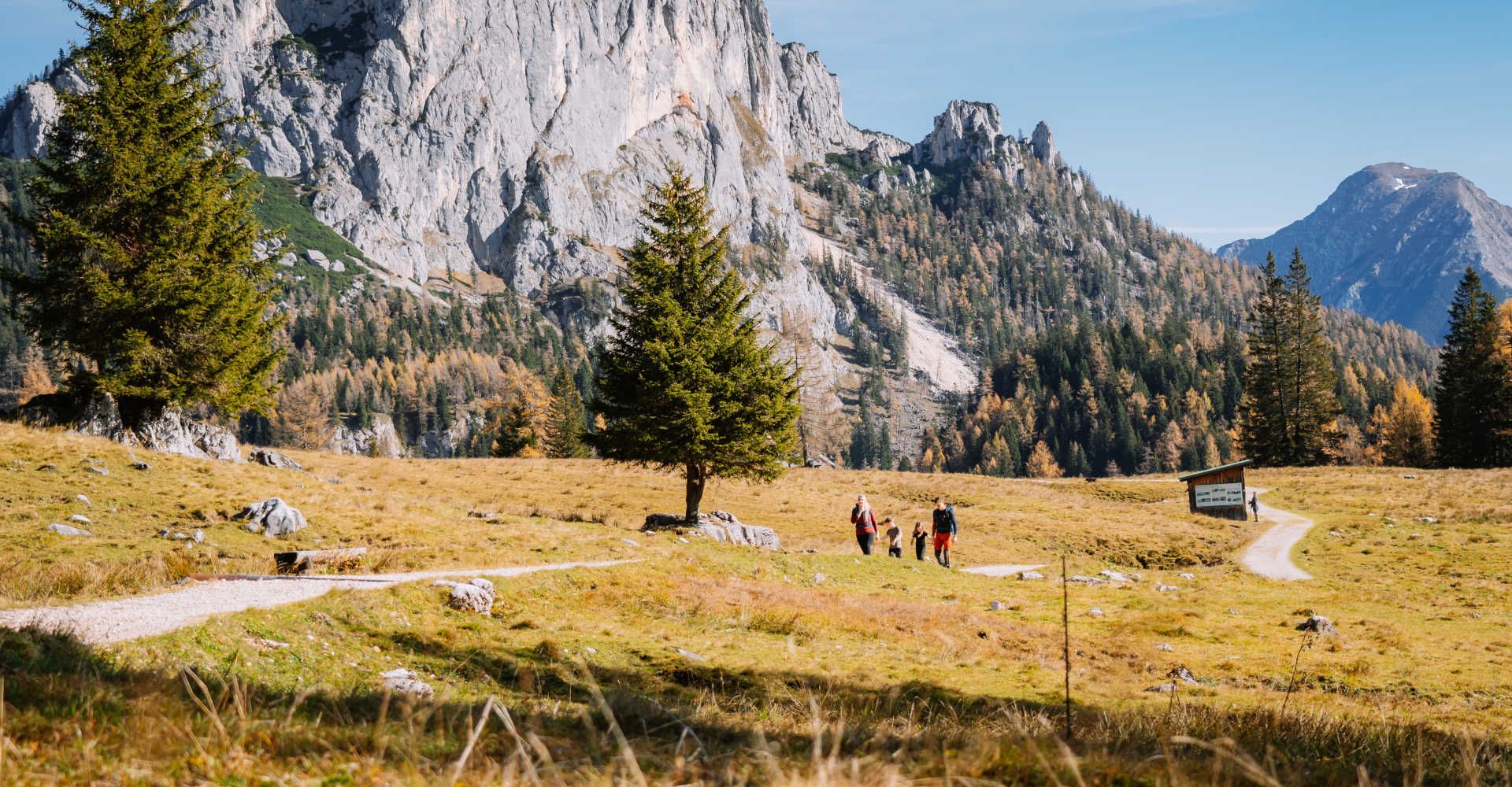 Ausblick auf die Berge der Wurzeralm im Sommer