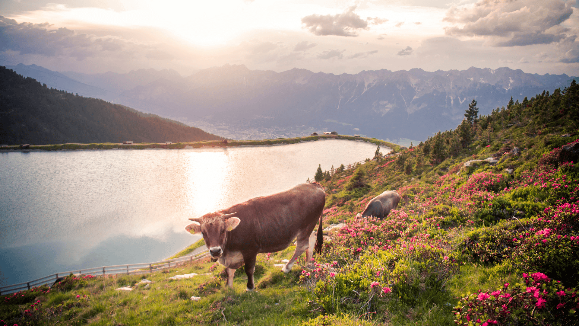 Zirbensee am Glungezer