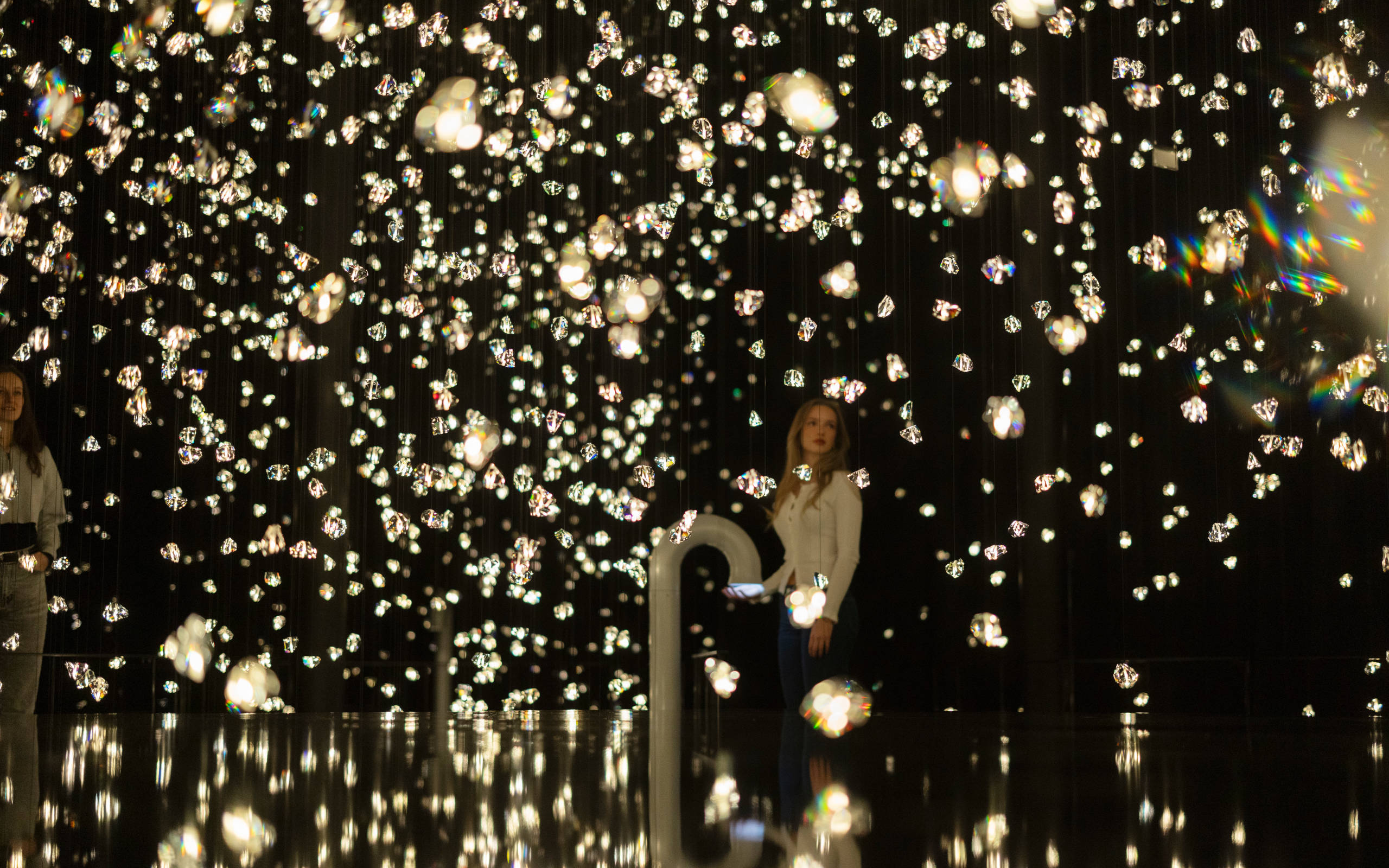 Wunderkammer Pulse Voronoi