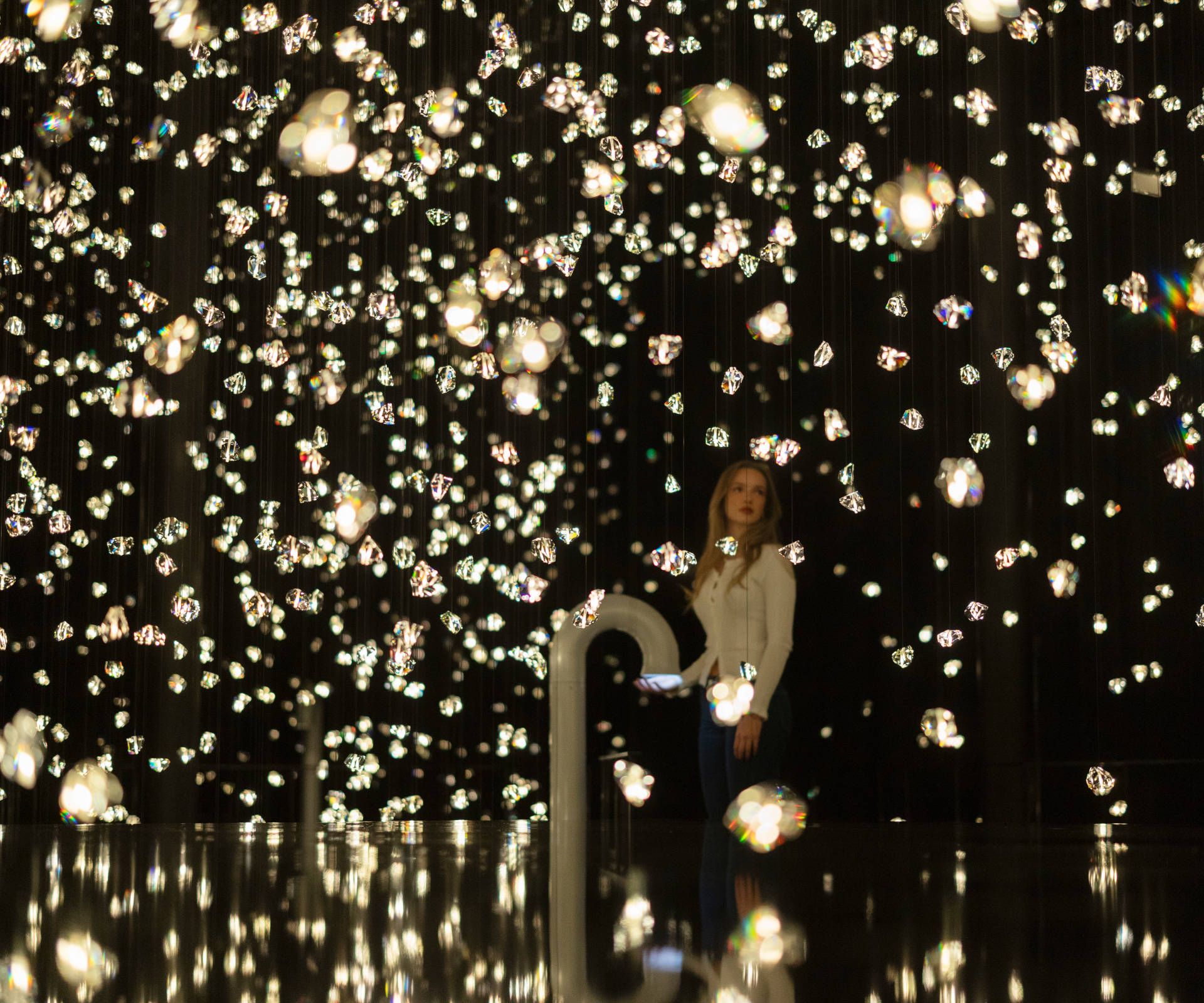 Wunderkammer Pulse Voronoi