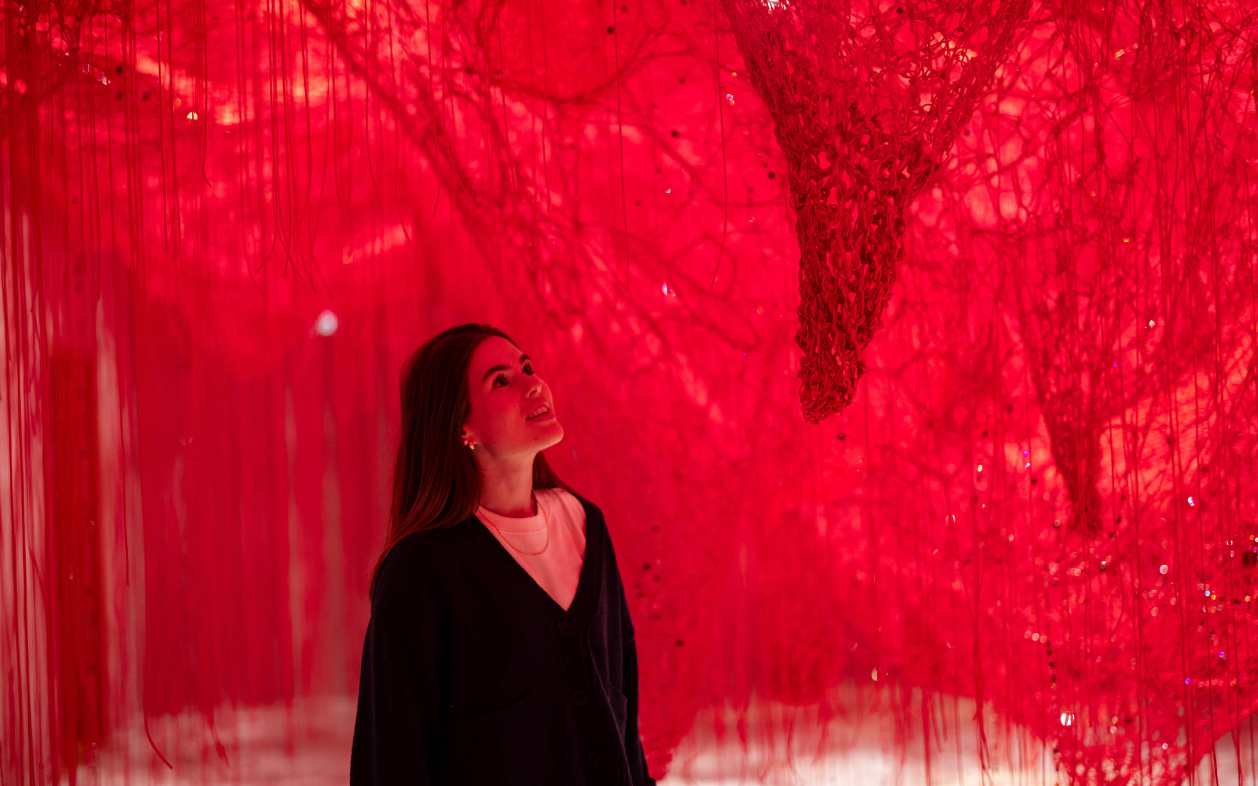 Wunderkammer Crystallizing Identity