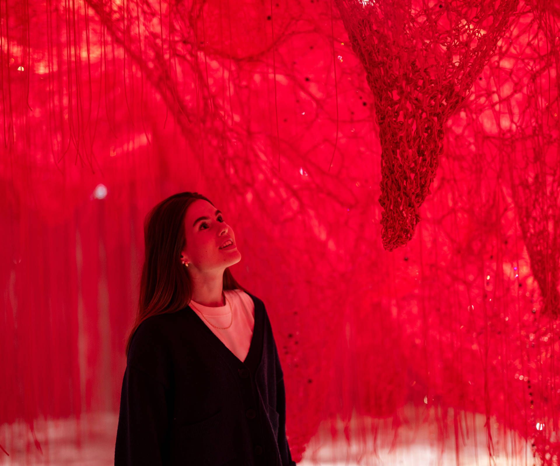 Wunderkammer Crystallizing Identity