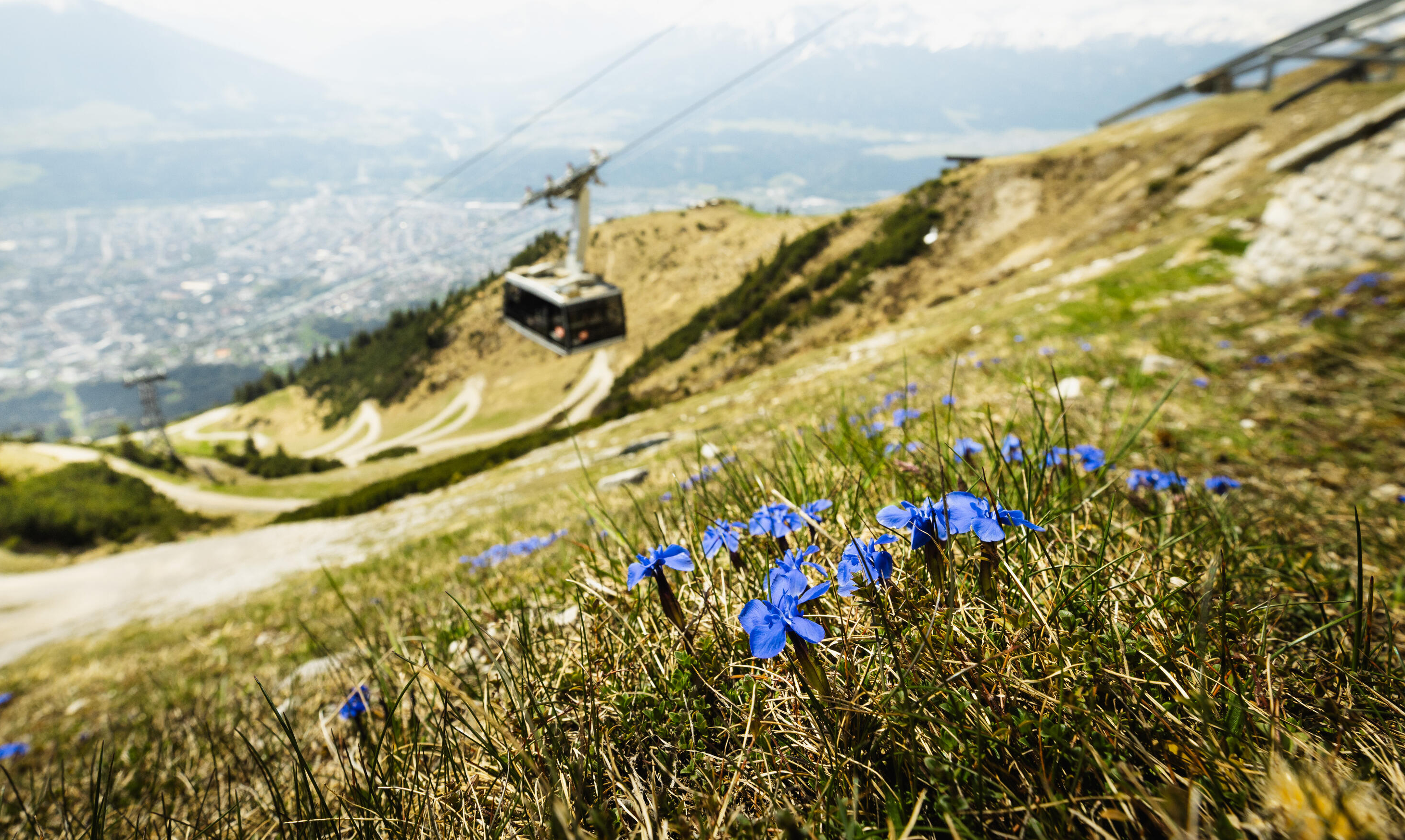 Nordkette im Frühling 