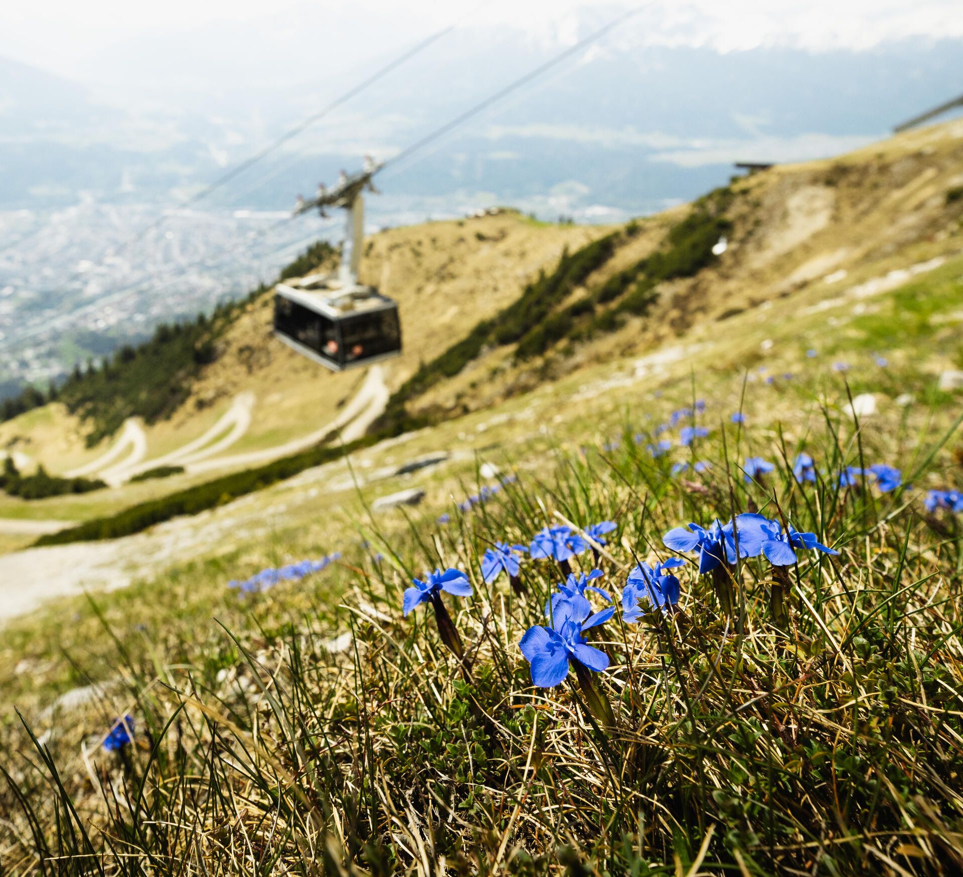 Nordkette im Frühling