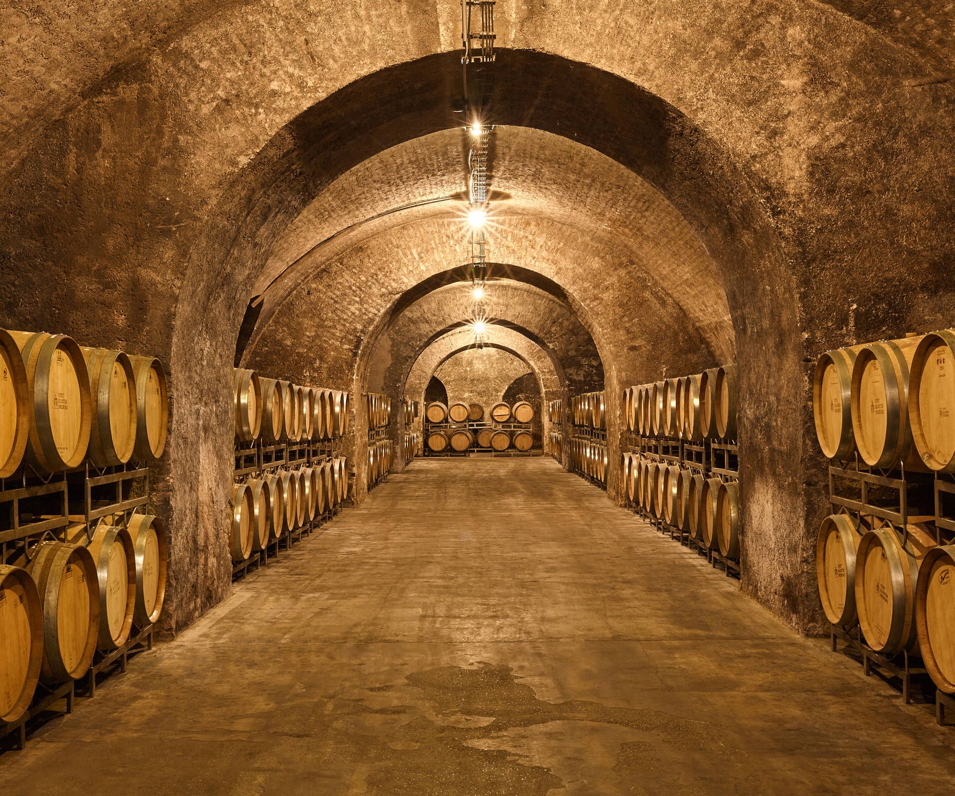 Barrique cellar