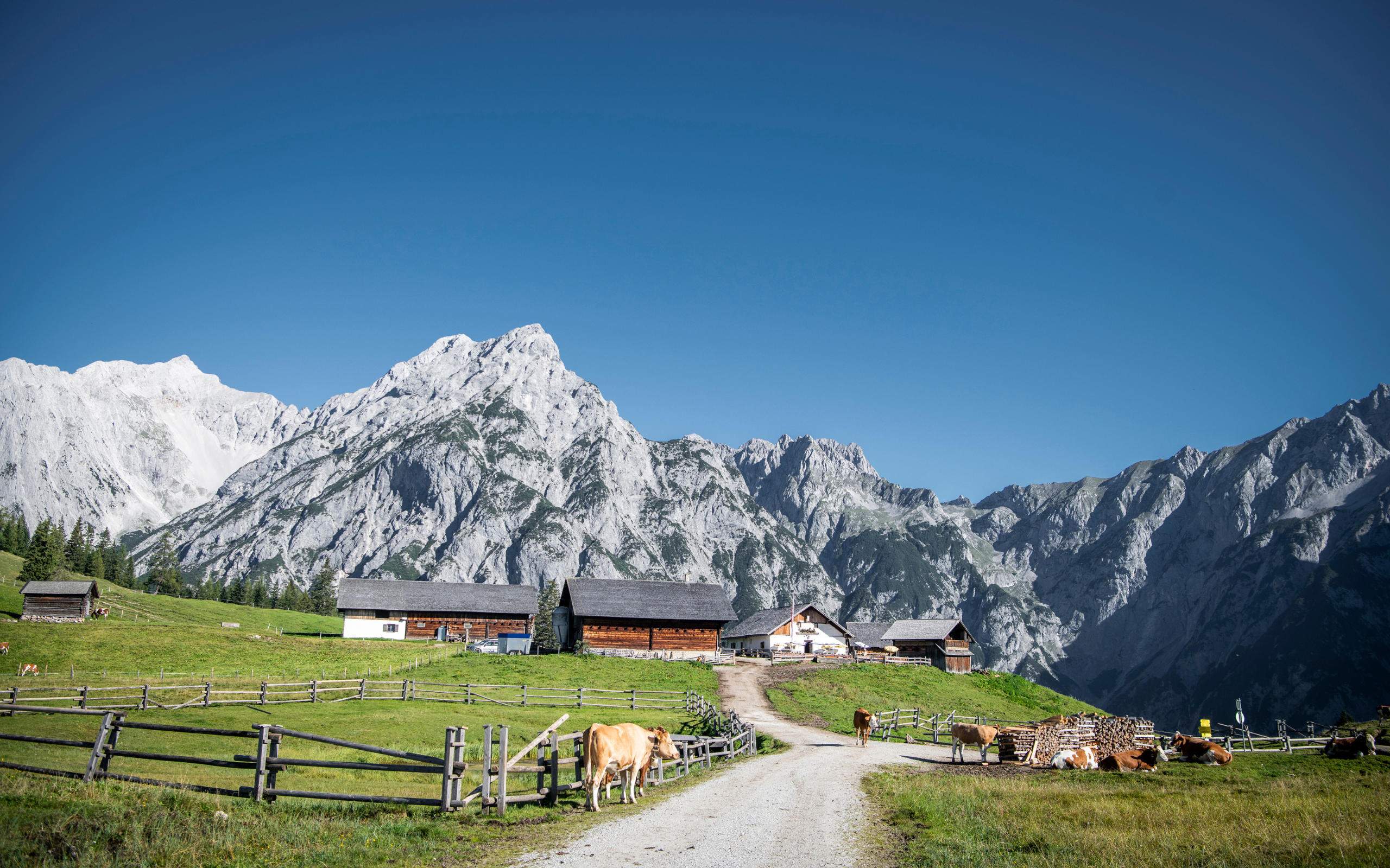 Walderalm Karwendel