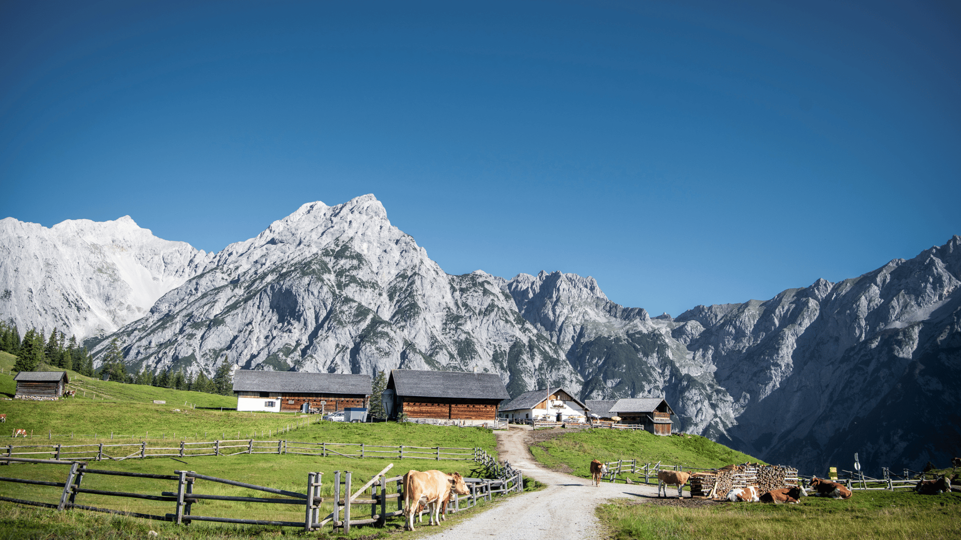 Walderalm Karwendel