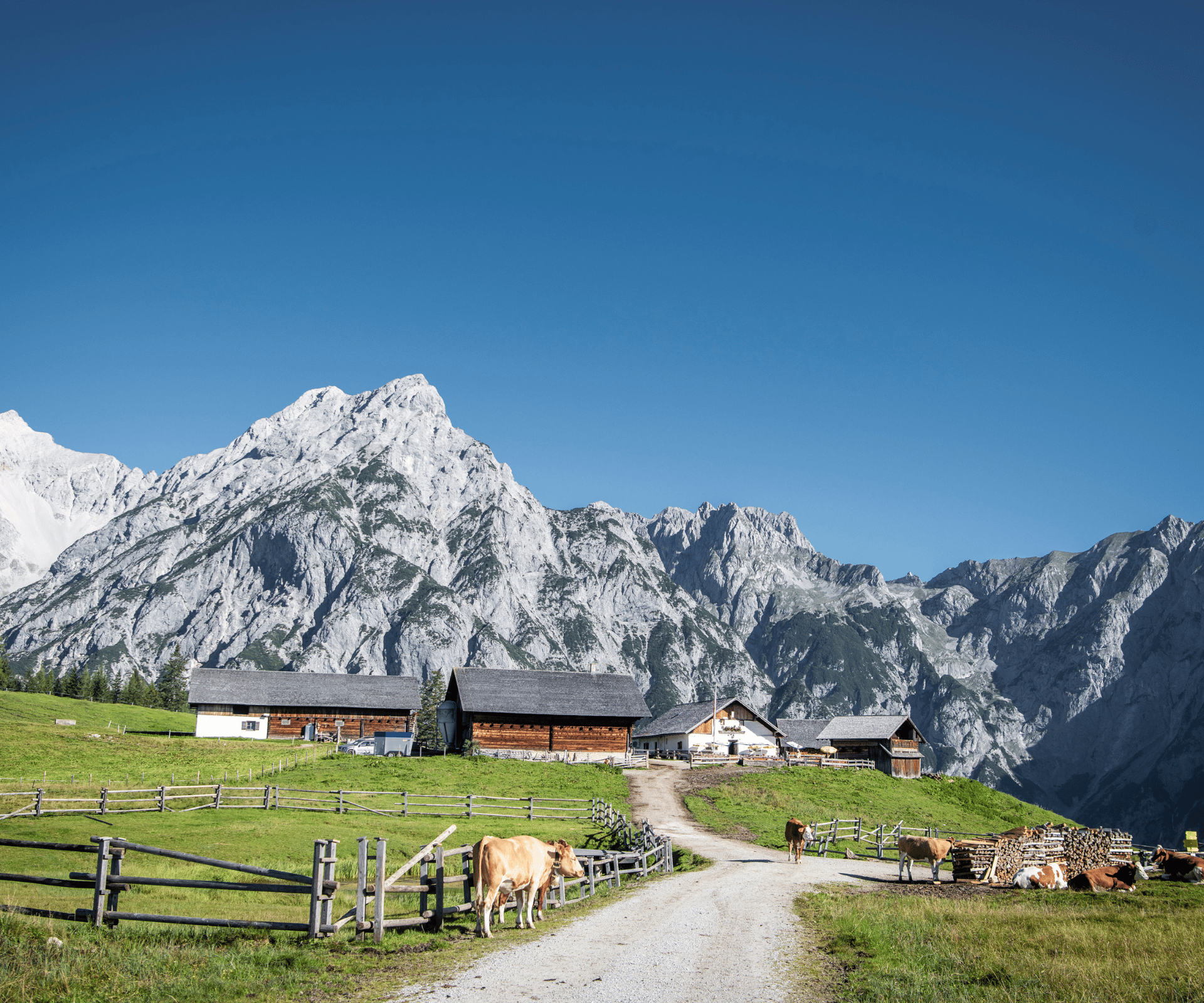 Walderalm Karwendel