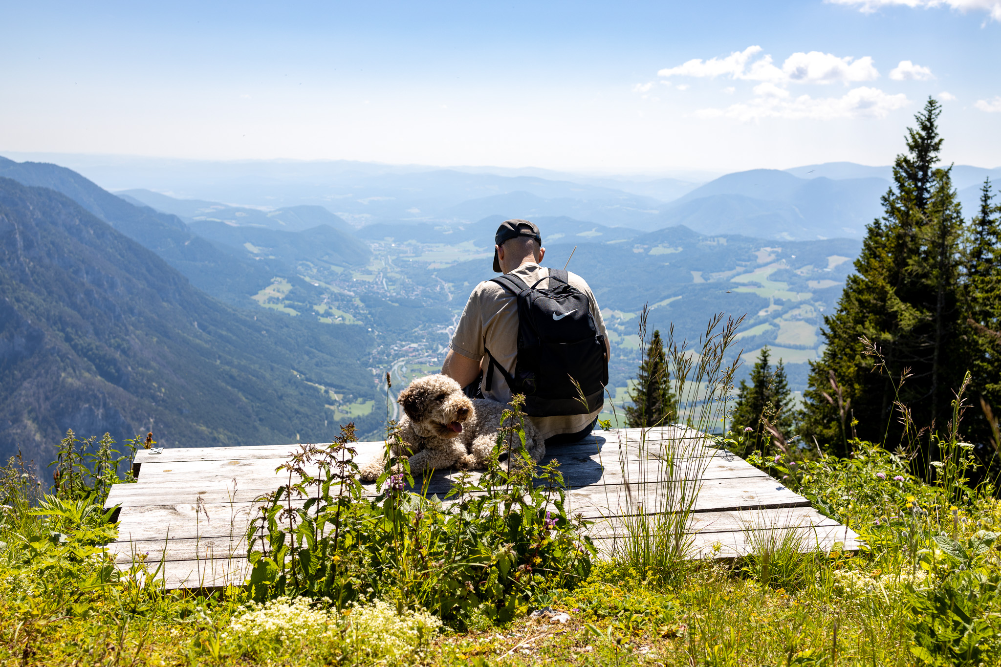 Mountain summer on the Raxalpe