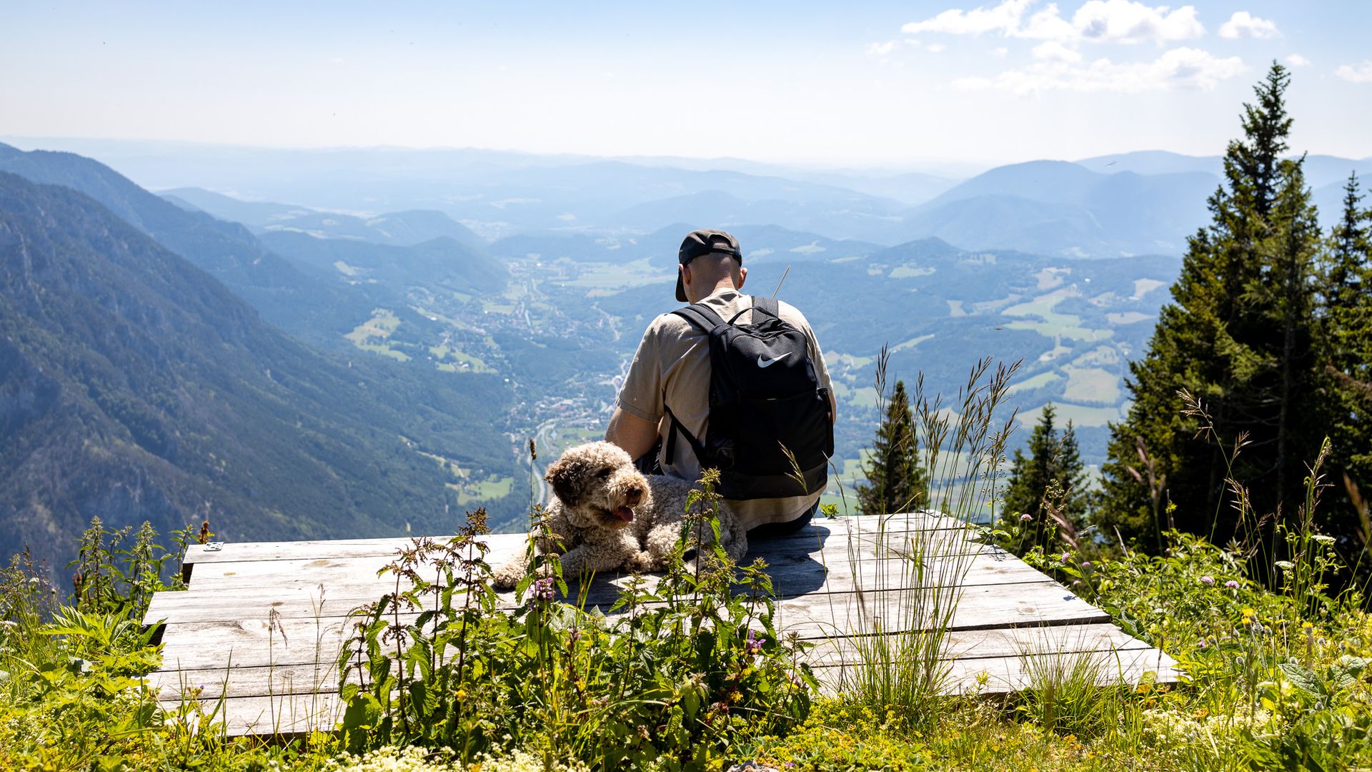 Mountain summer on the Raxalpe