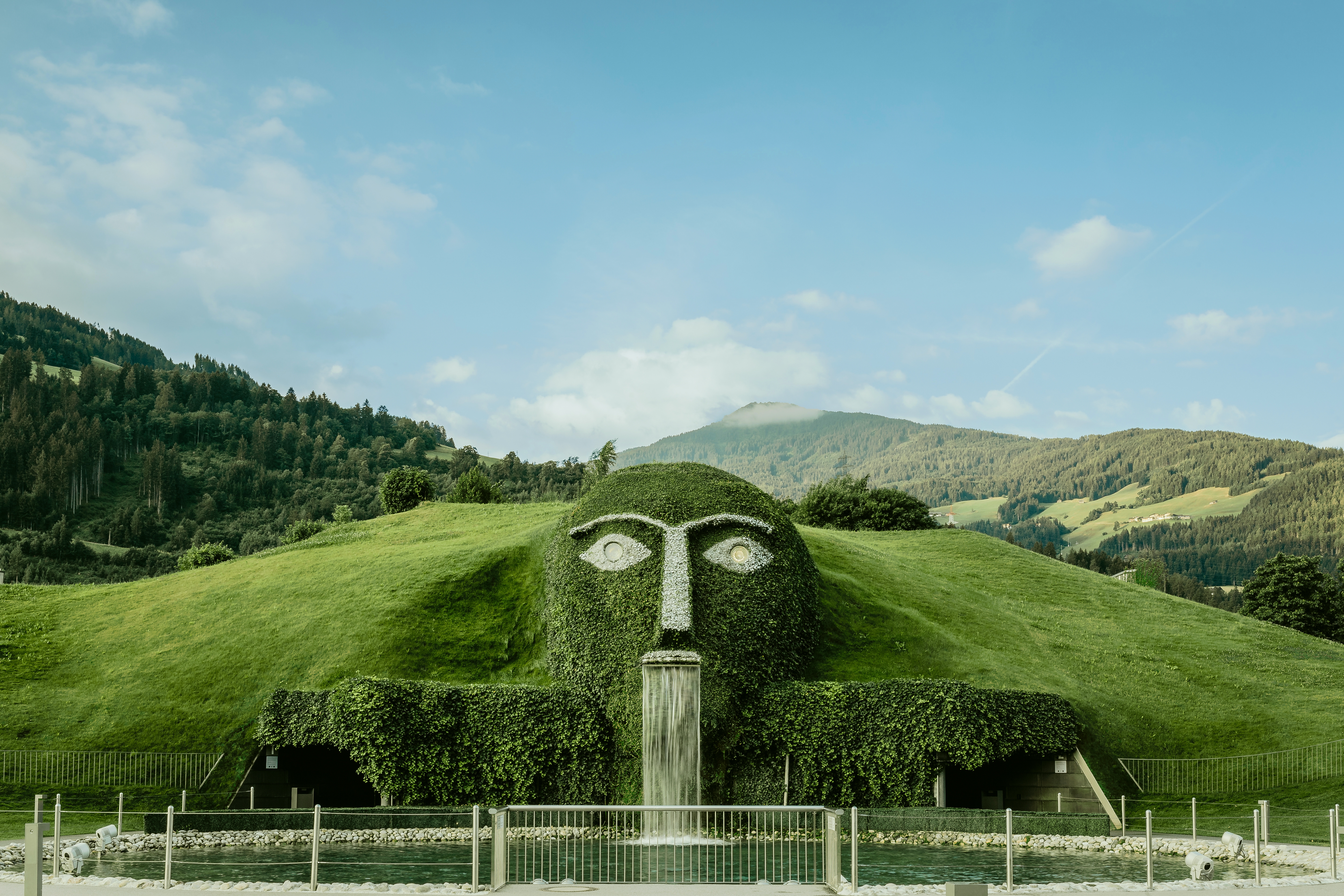 Giant in summer