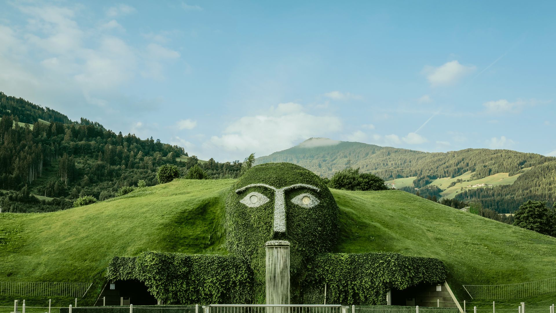 Giant in summer