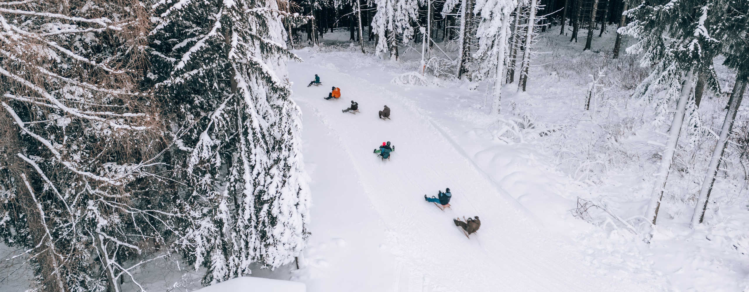 Rodeln am Semmering-Hirschenkogel auf einer verschneiten Waldrodelbahn im Winter.