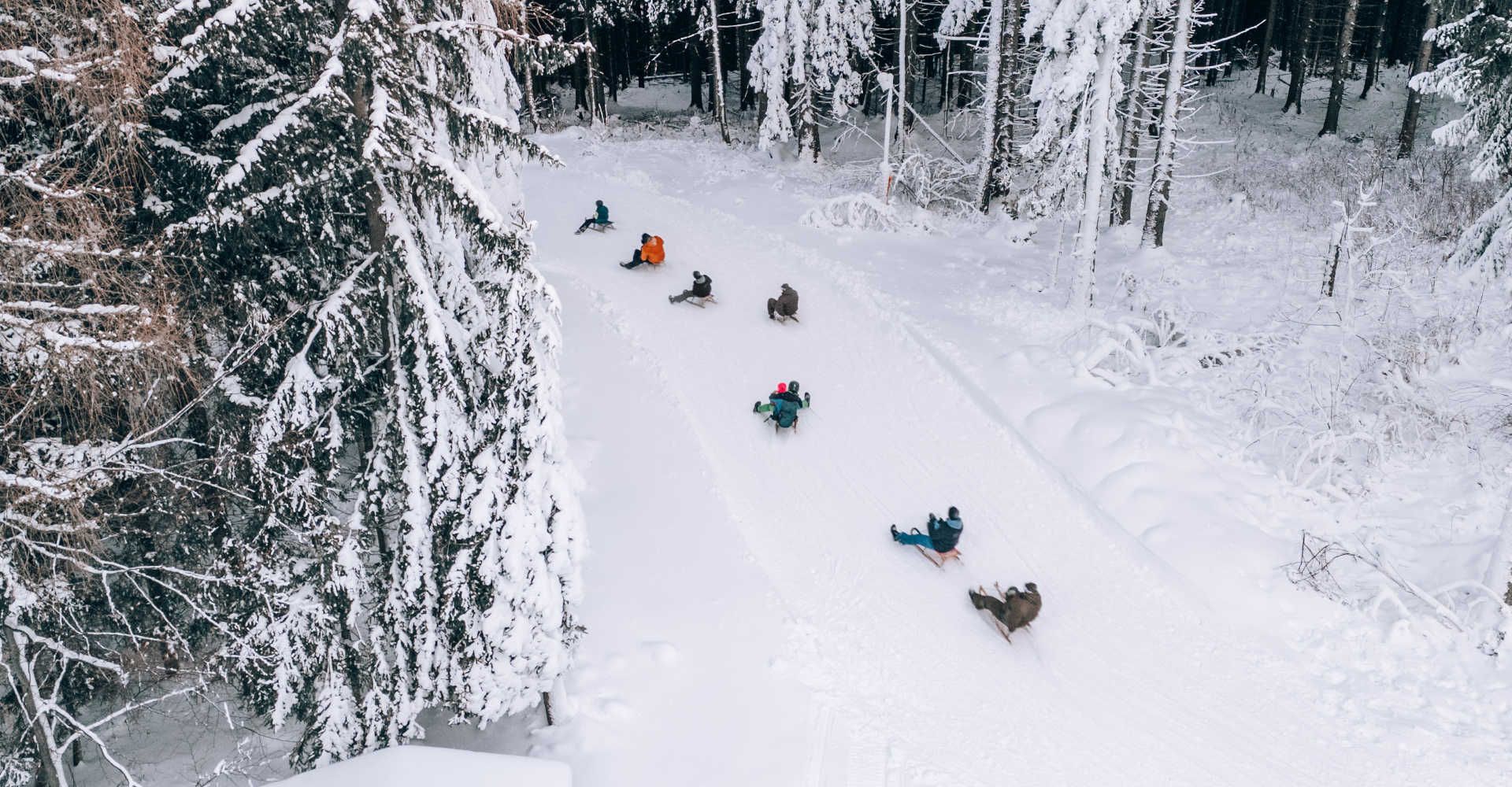 Rodeln am Semmering-Hirschenkogel auf einer verschneiten Waldrodelbahn im Winter.
