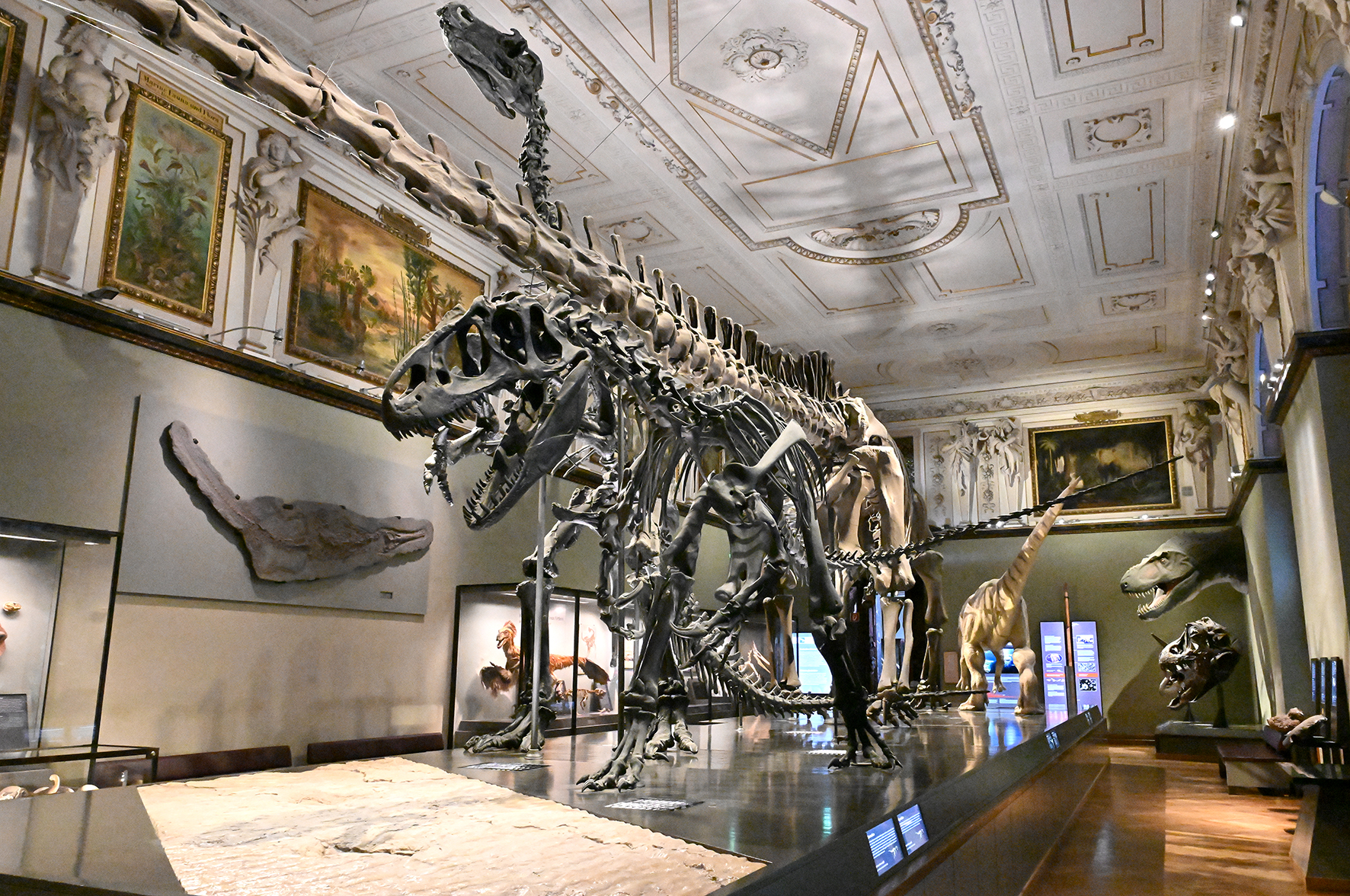Saal Dinosaurier
