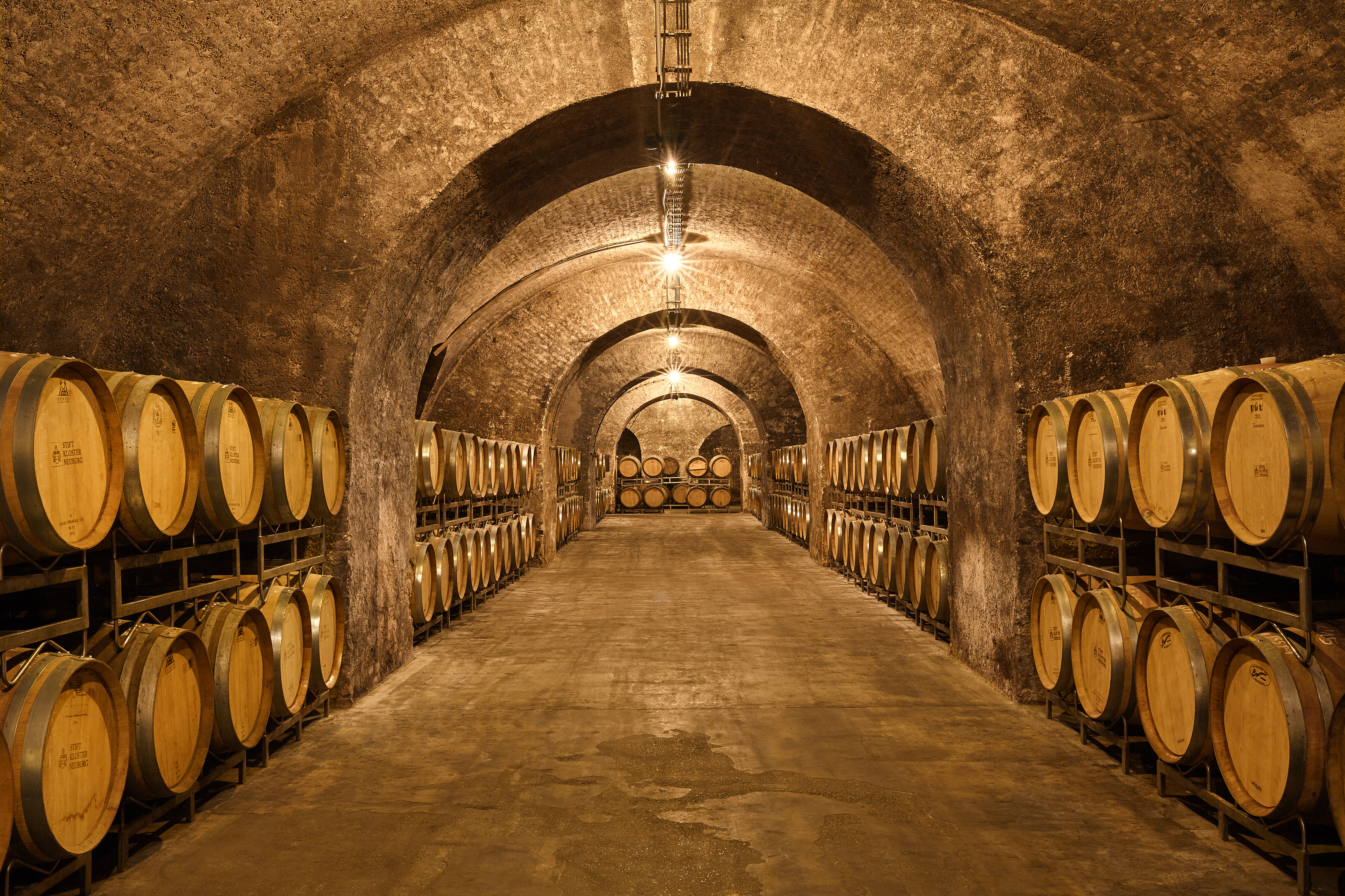 Barrique cellar