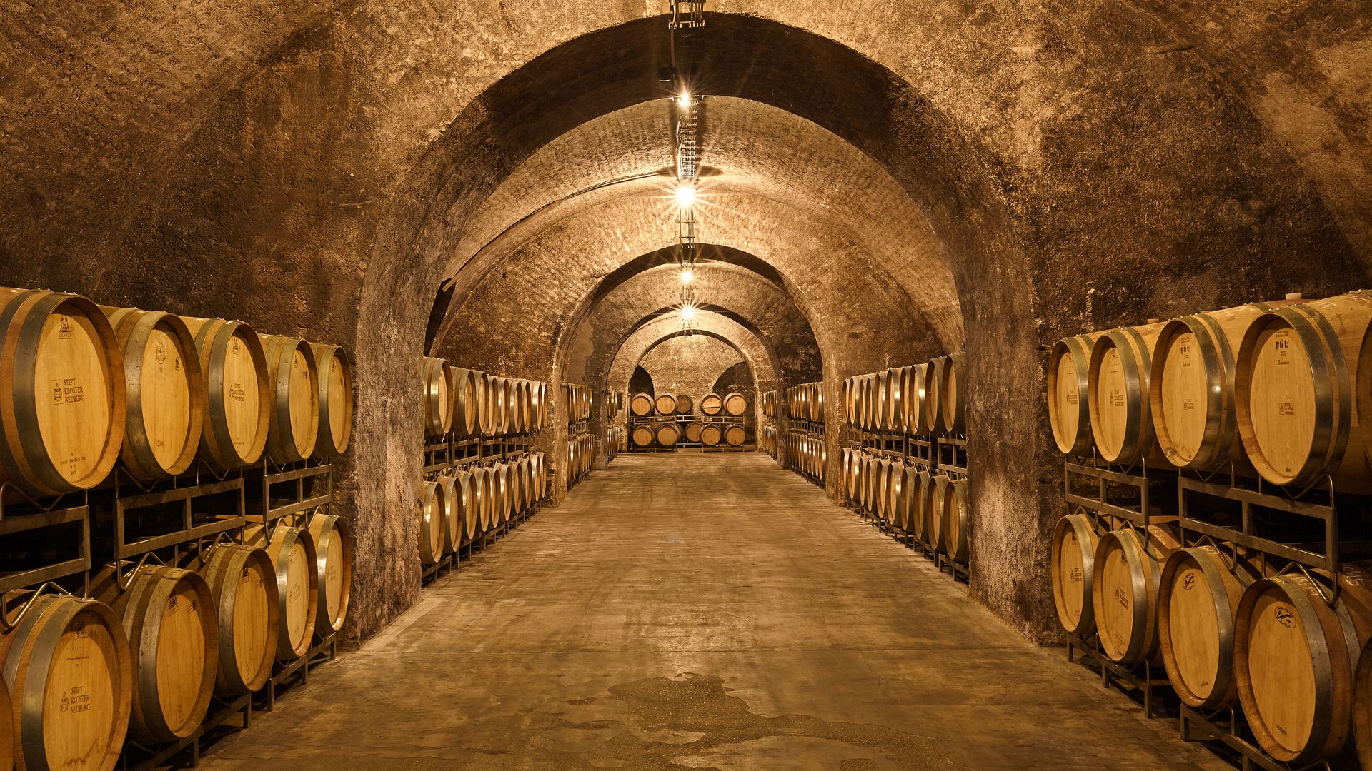 Barrique cellar