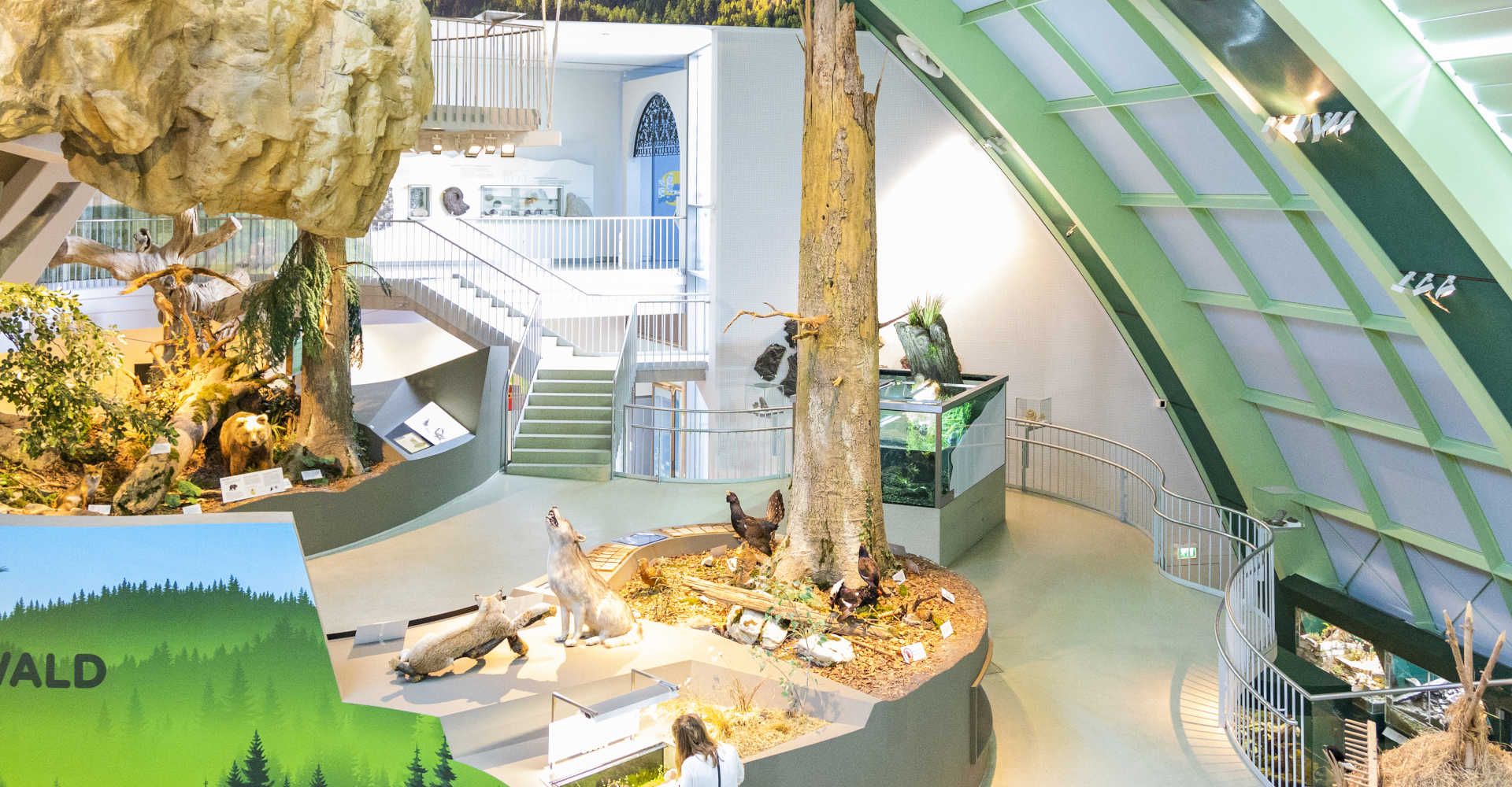 Haus der Natur