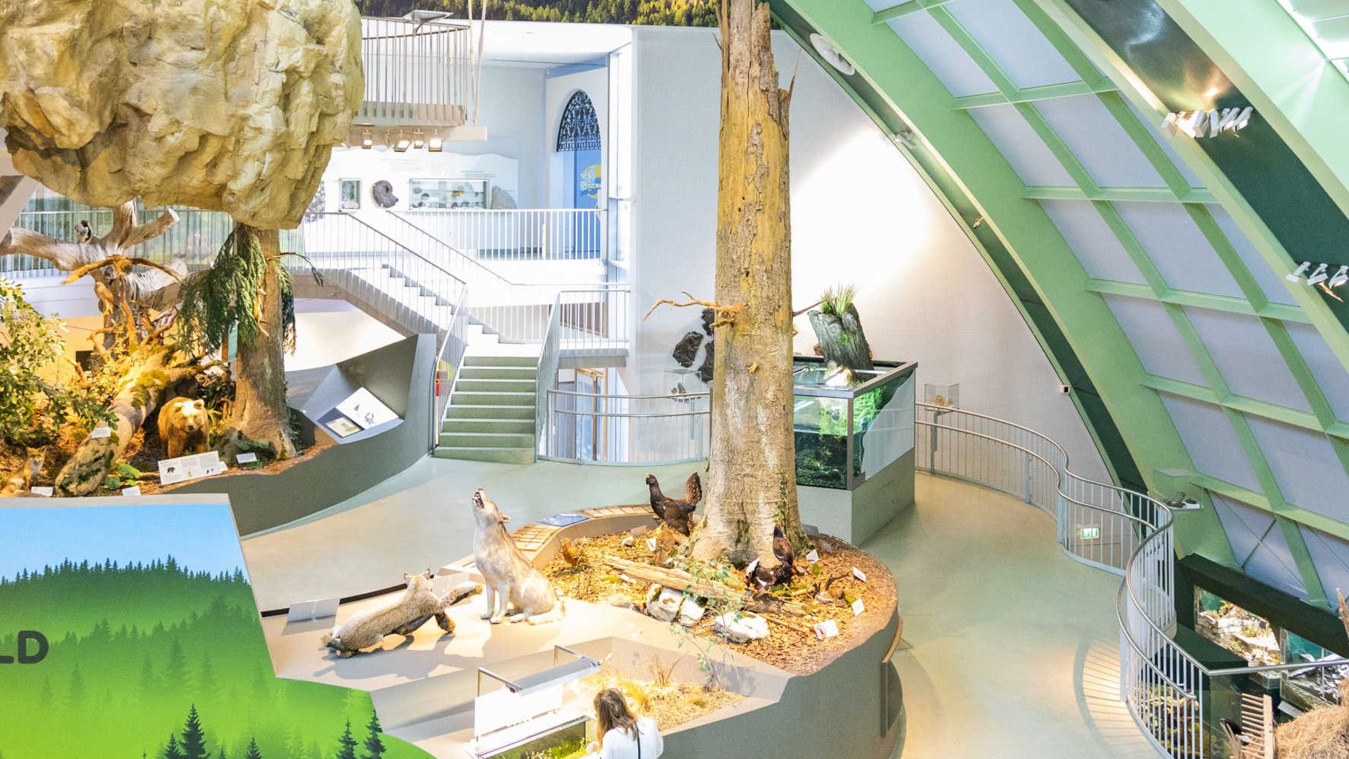 House of nature