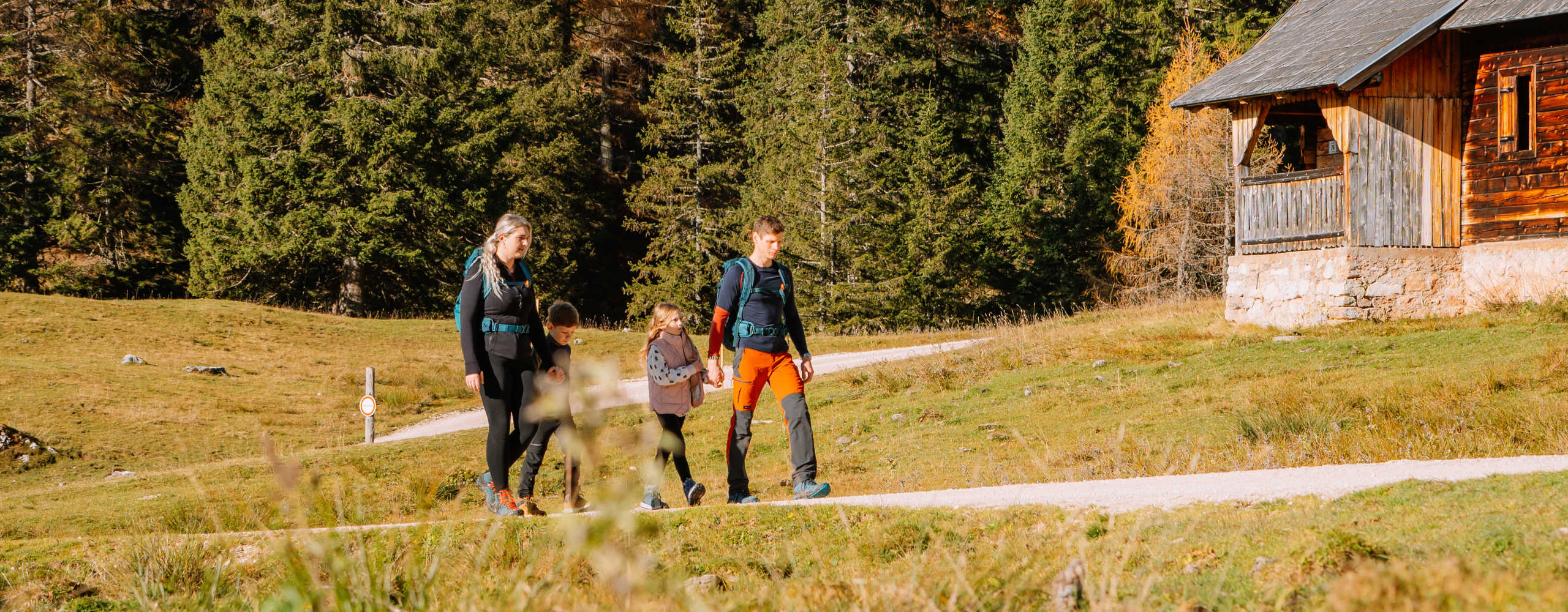 Family hiking in summer, the mountains can be seen in the background