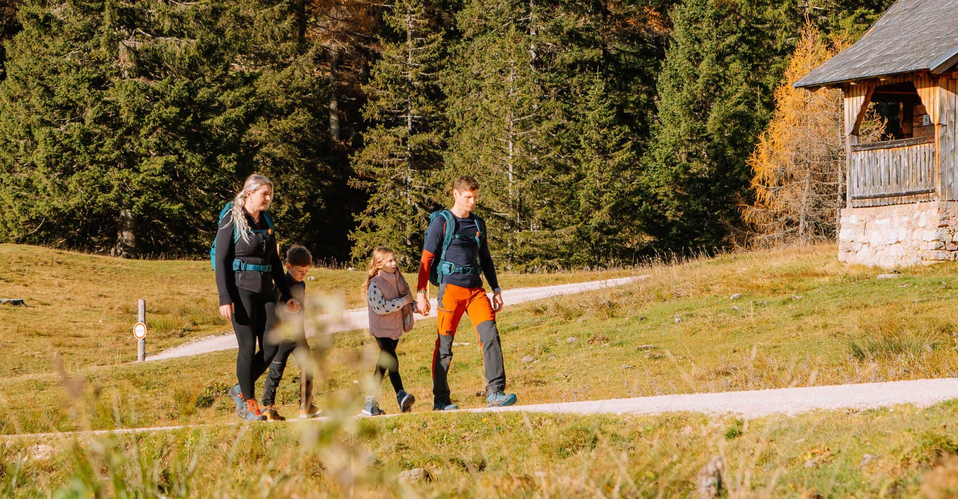 Familie wandert im Sommer, im Hintergrund sieht man die Berge